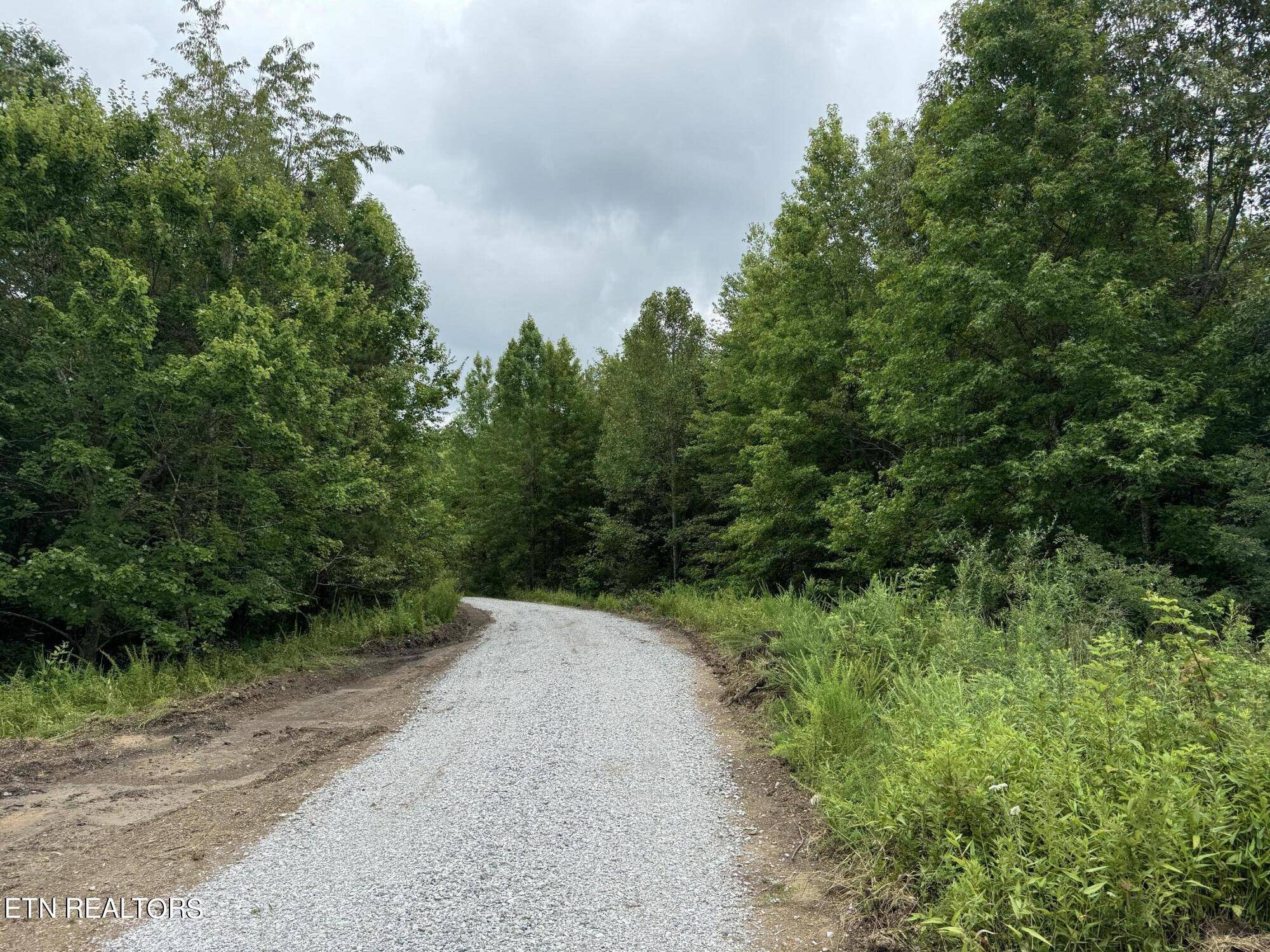 Winfield, TN 37892,Cordell Mtn Pvt (tract 11) LN