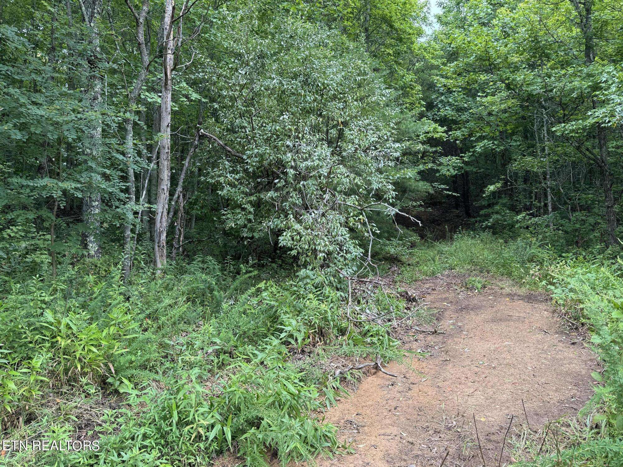Winfield, TN 37892,Cordell Mtn Pvt (tract 18) LN