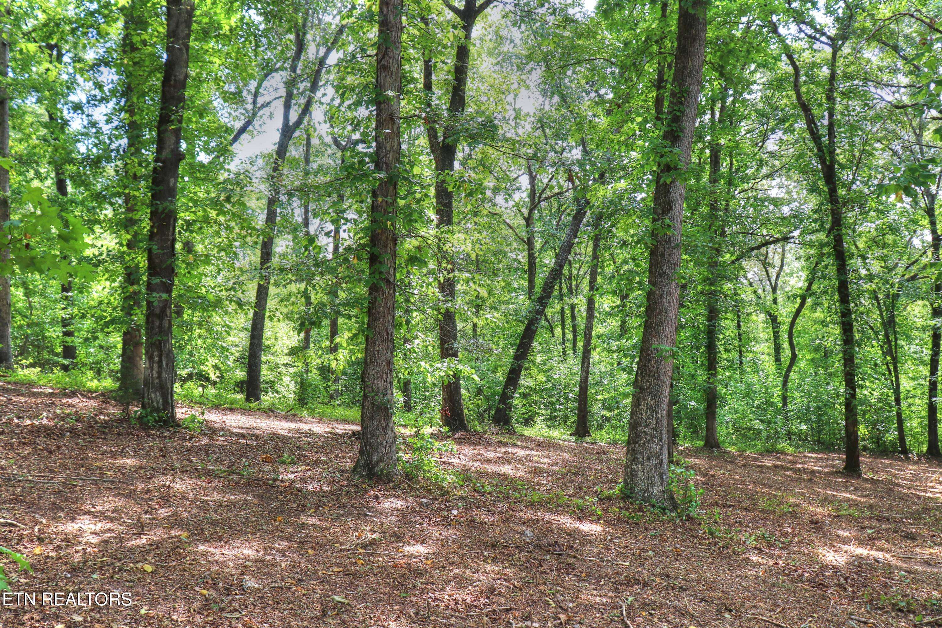 Rockwood, TN 37854,Lot 333 Water View DR