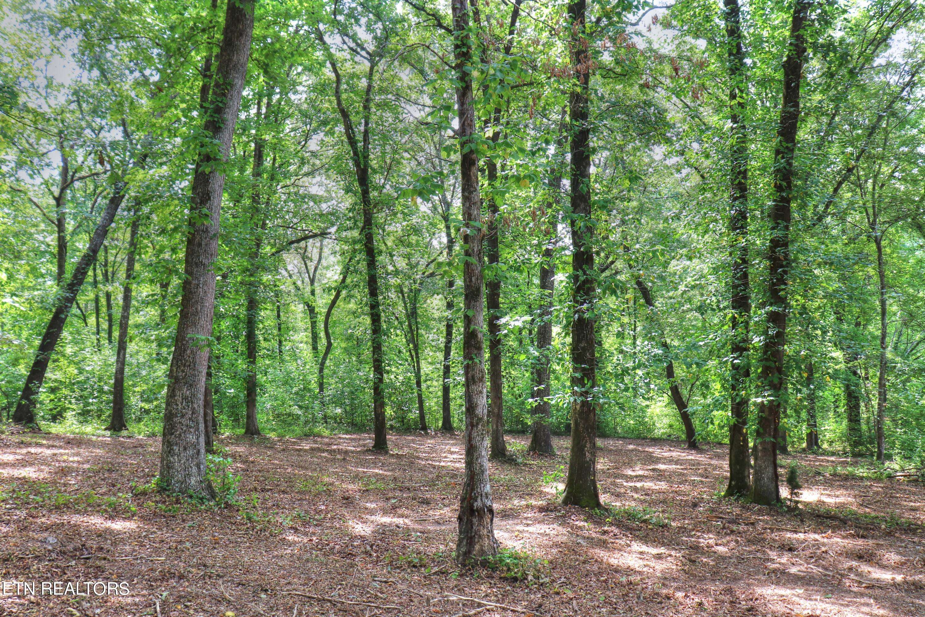 Rockwood, TN 37854,Lot 333 Water View DR