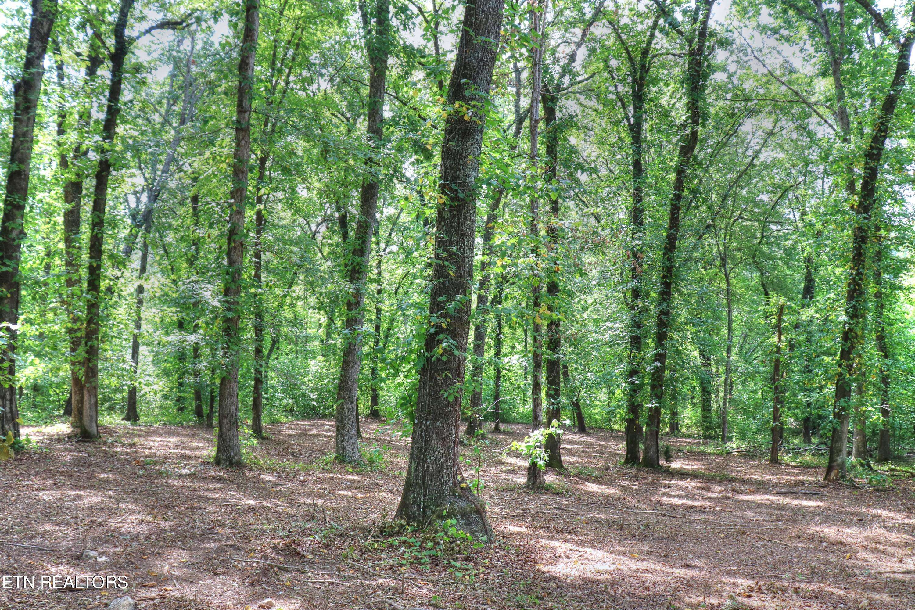 Rockwood, TN 37854,Lot 333 Water View DR