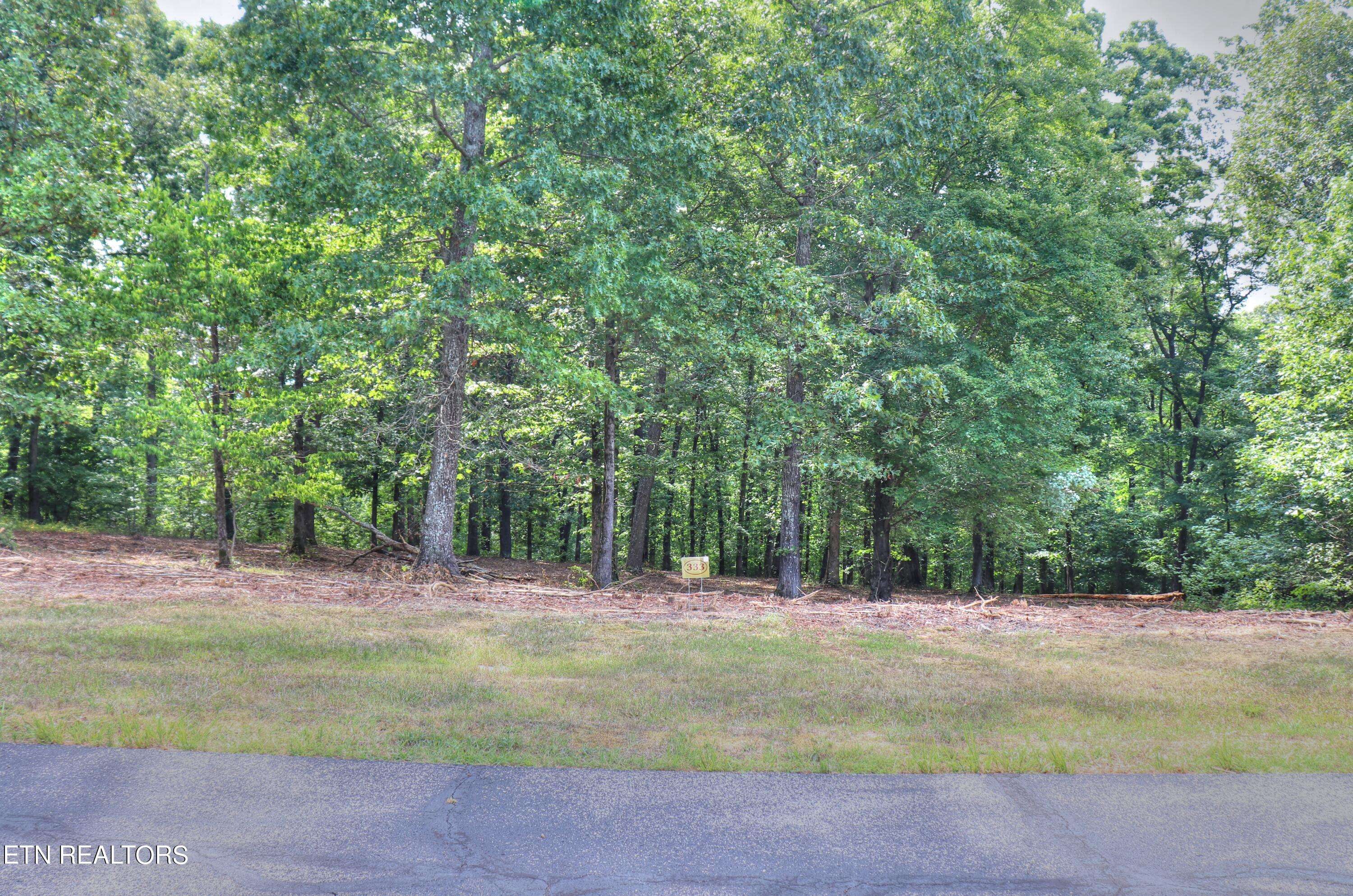 Rockwood, TN 37854,Lot 333 Water View DR