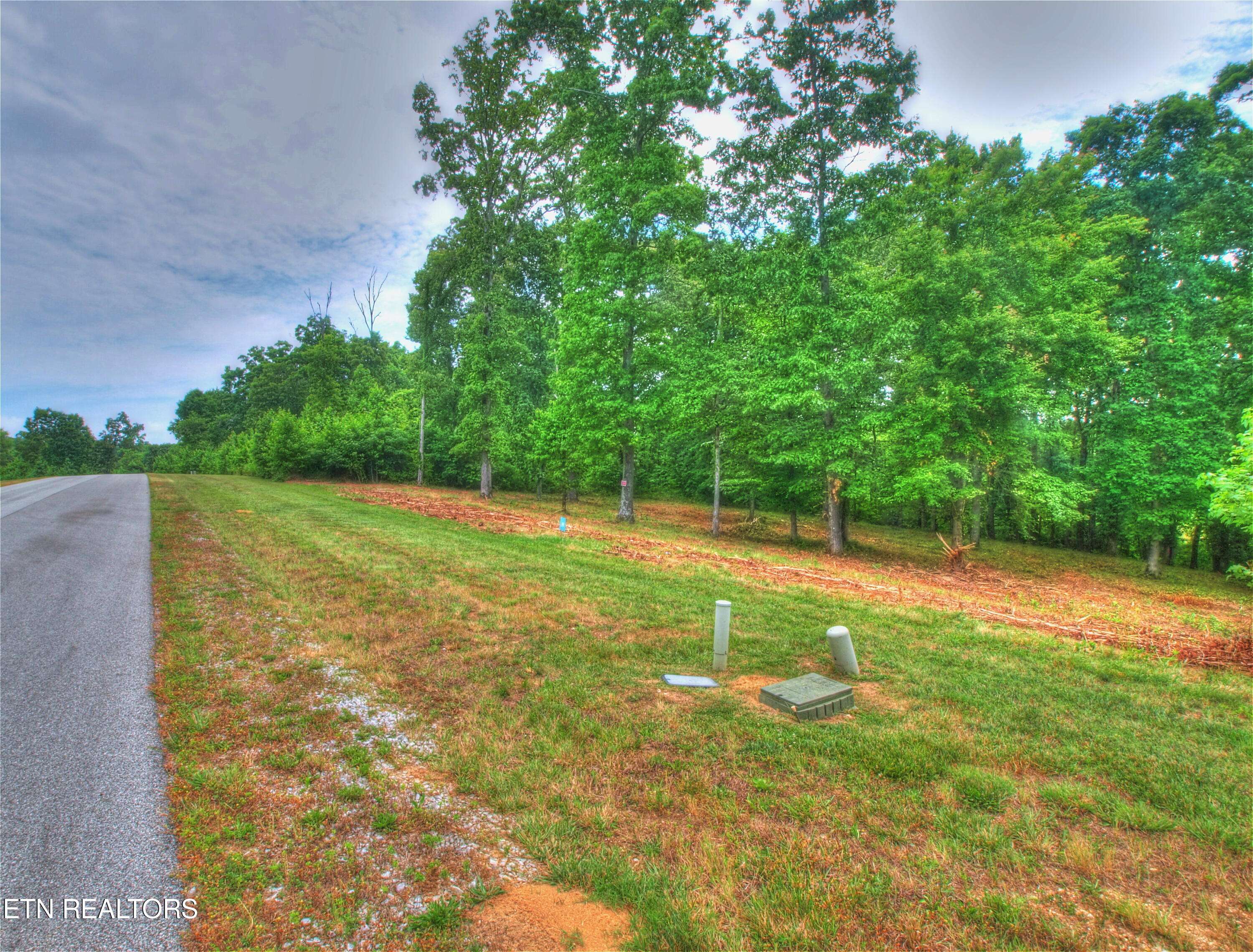 Rockwood, TN 37854,Lot 333 Water View DR