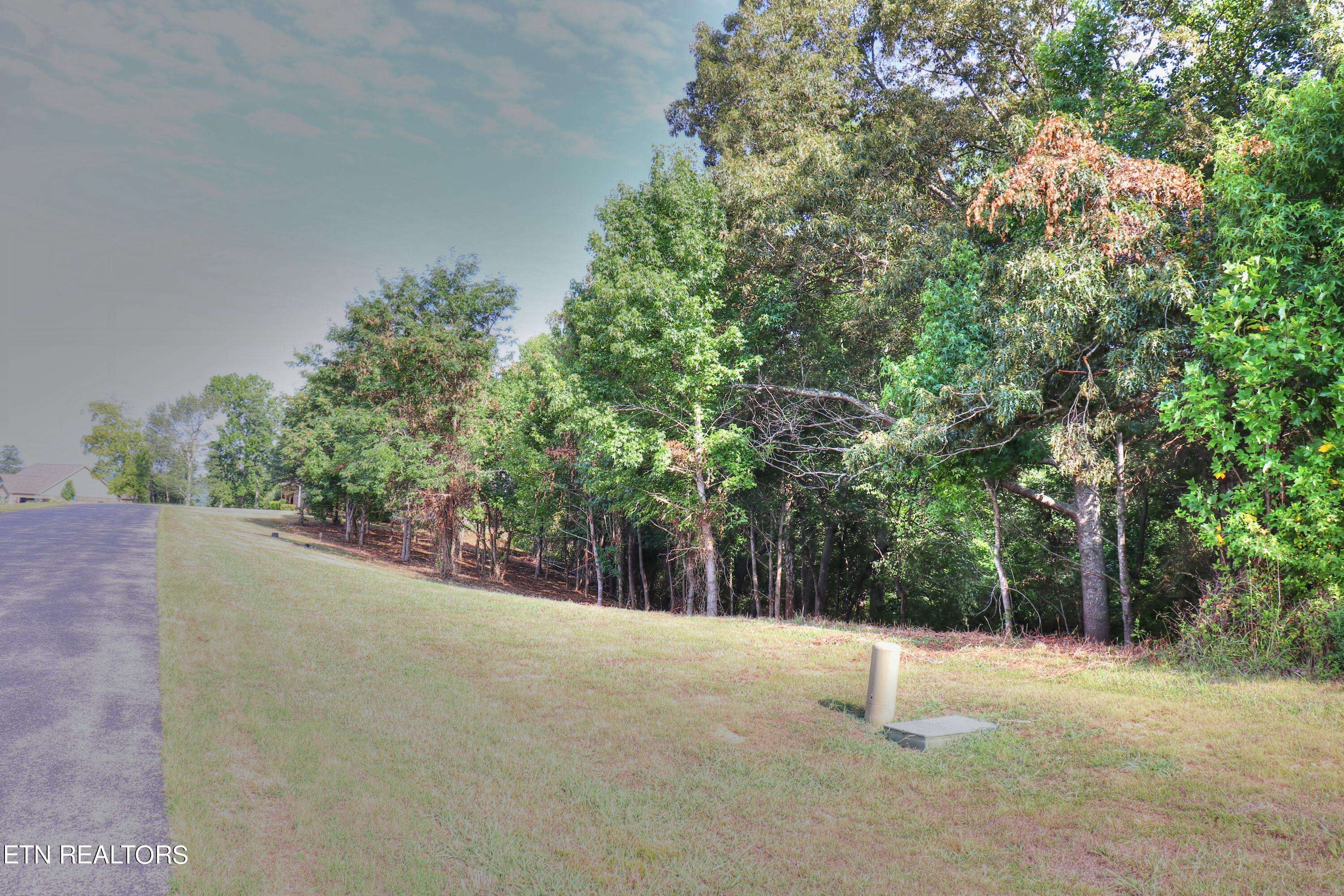 Rockwood, TN 37854,206 Majestic View DR