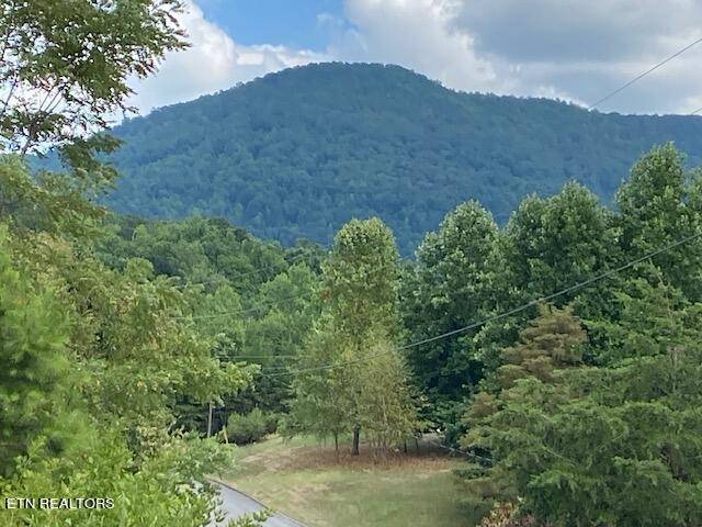 Sevierville, TN 37862,Lot 56 Mistletoe LOOP