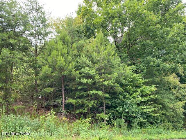 Sevierville, TN 37862,Lot 56 Mistletoe LOOP