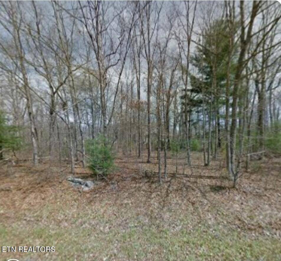 Crossville, TN 38572,3041 Niska DR