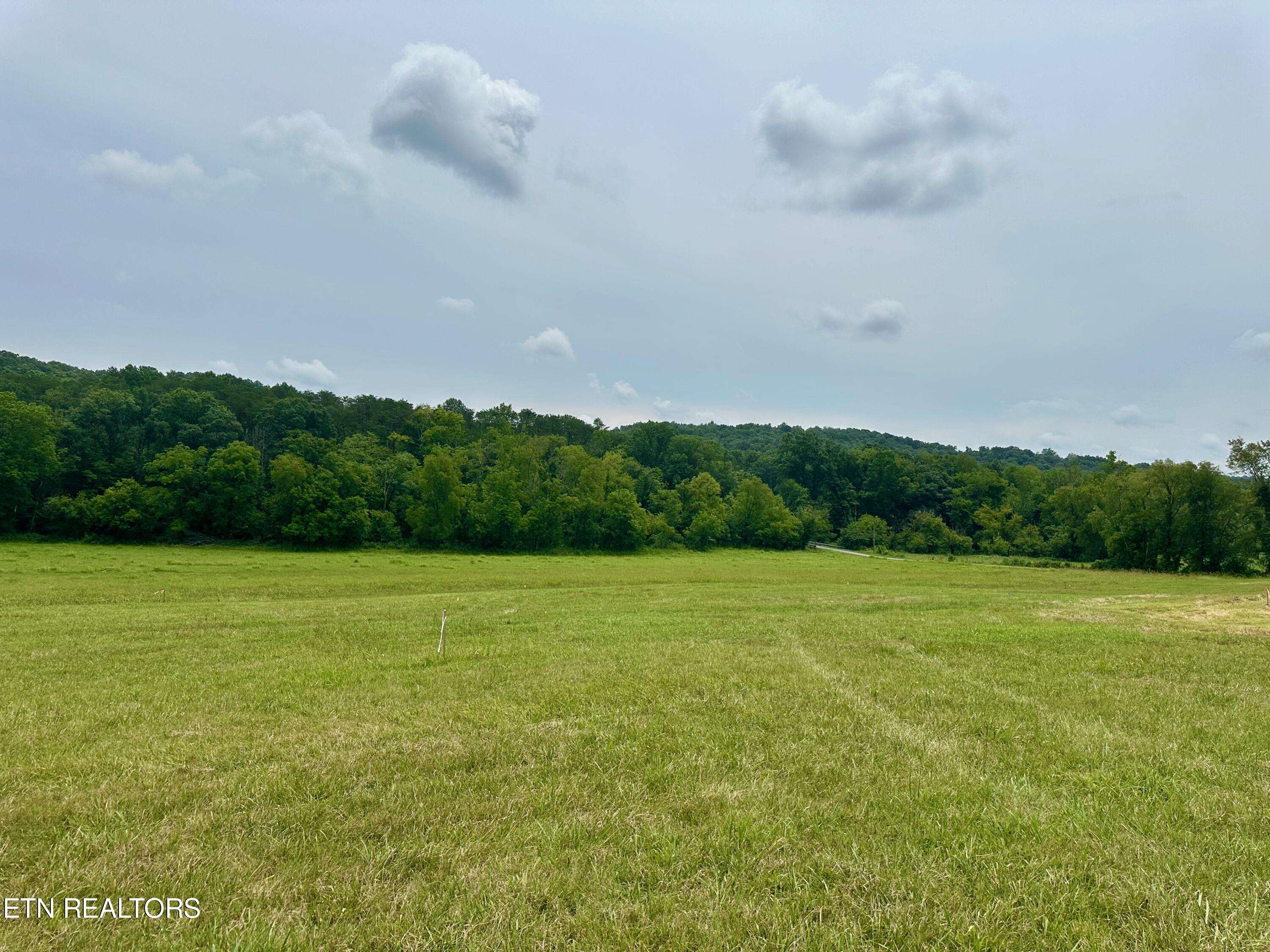 Blaine, TN 37709,Lot 6 Rutledge PIKE