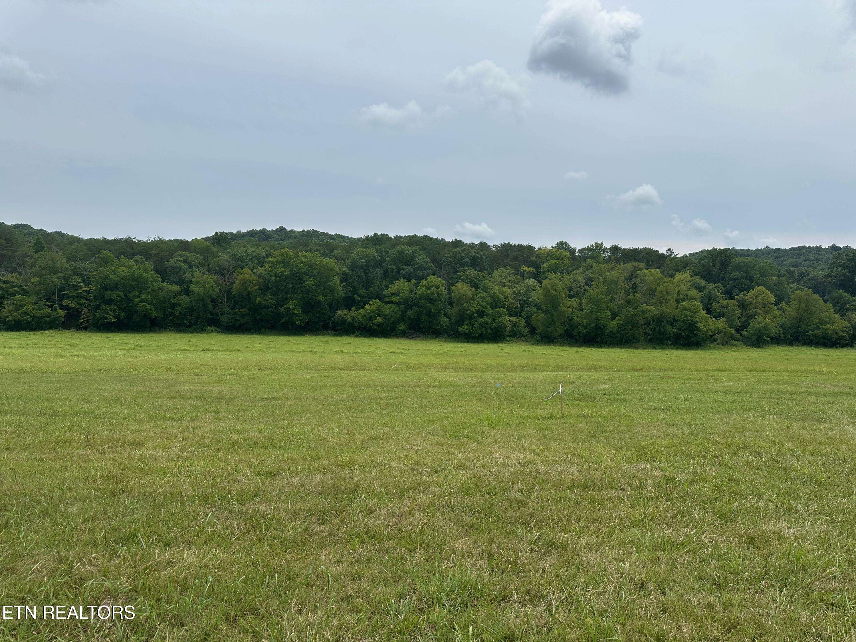 Blaine, TN 37709,Lot 6 Rutledge PIKE