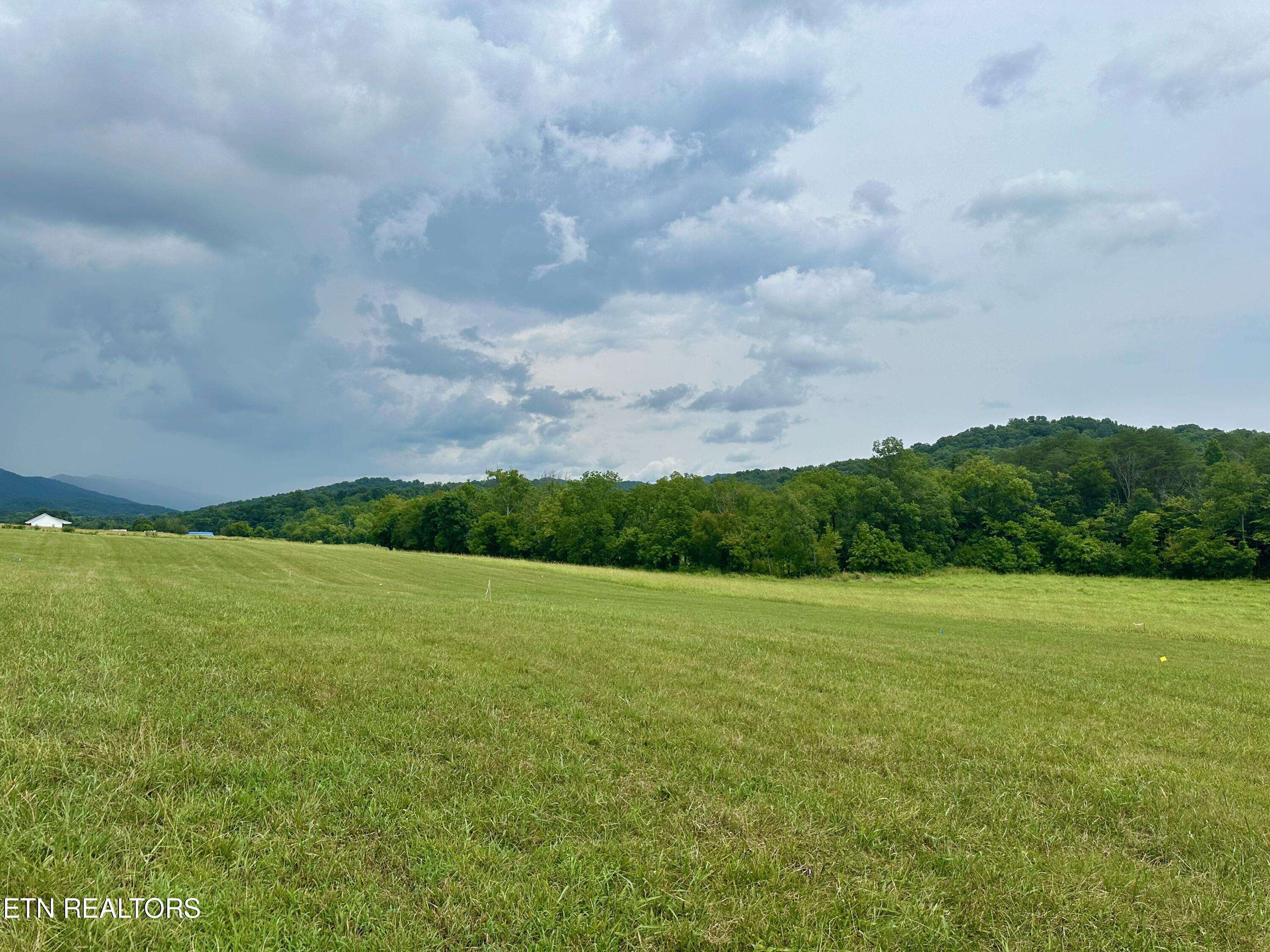 Blaine, TN 37709,Lot 6 Rutledge PIKE