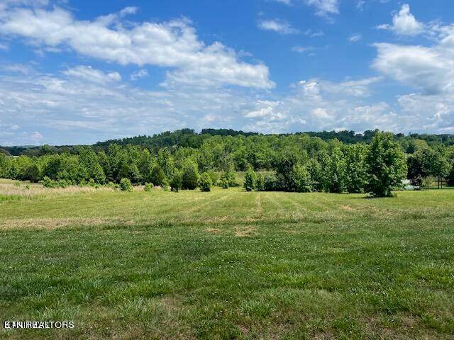 Rockwood, TN 37854,Pointe Vista Dr