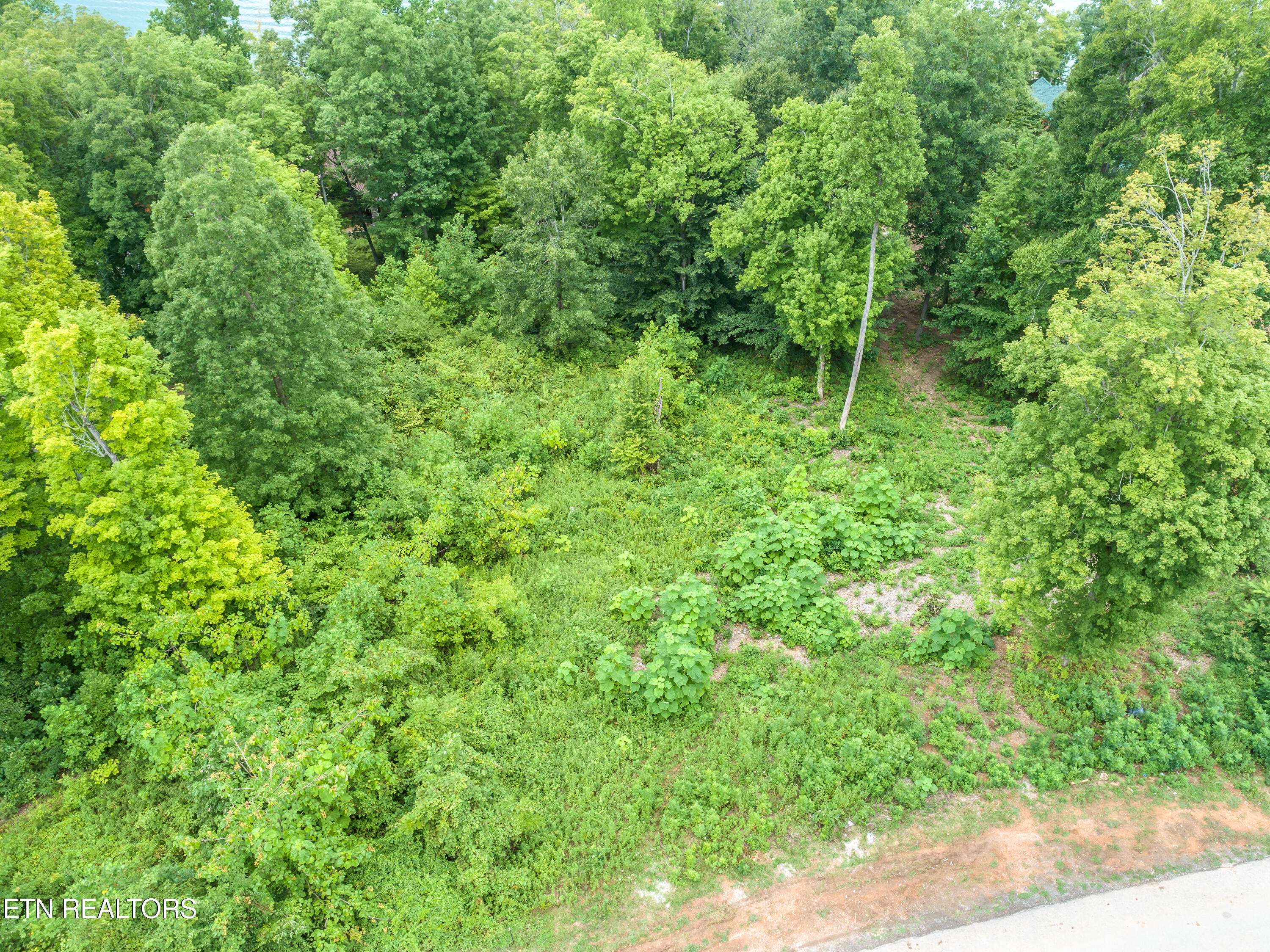 Maynardville, TN 37807,Lot 104 Hickory Pointe LN