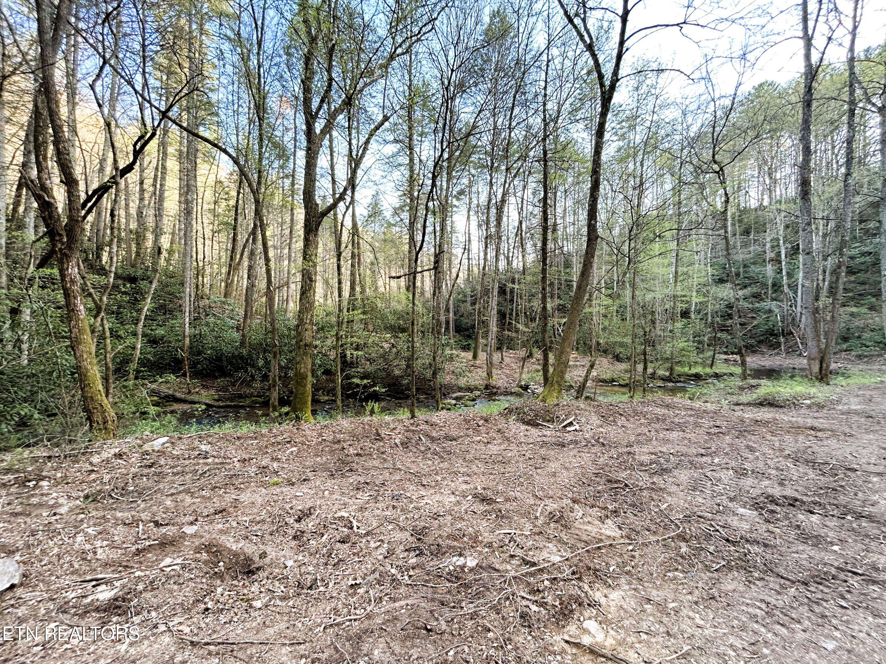 Tellico Plains, TN 37385,40 acres Ivy Trail