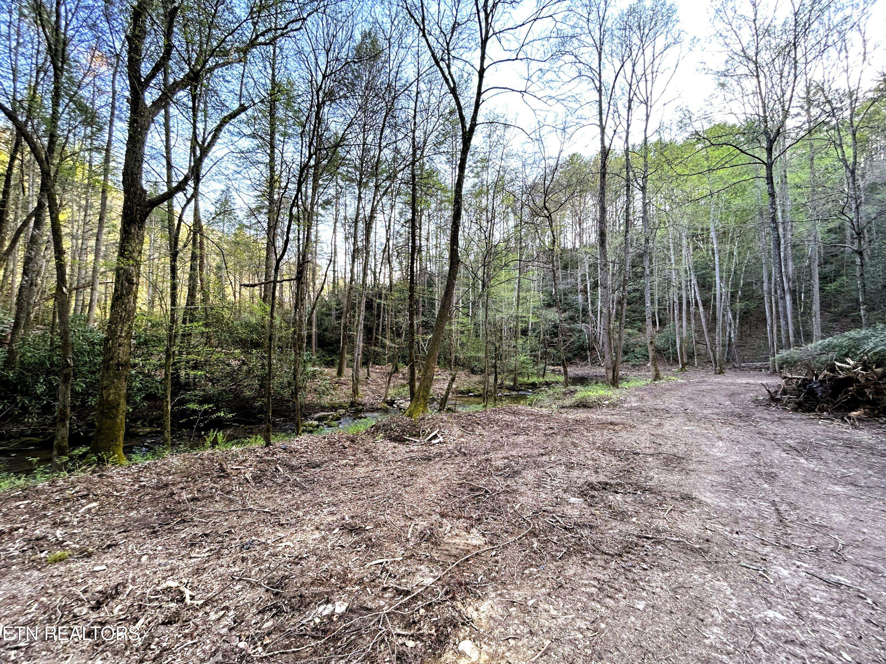 Tellico Plains, TN 37385,40 acres Ivy Trail