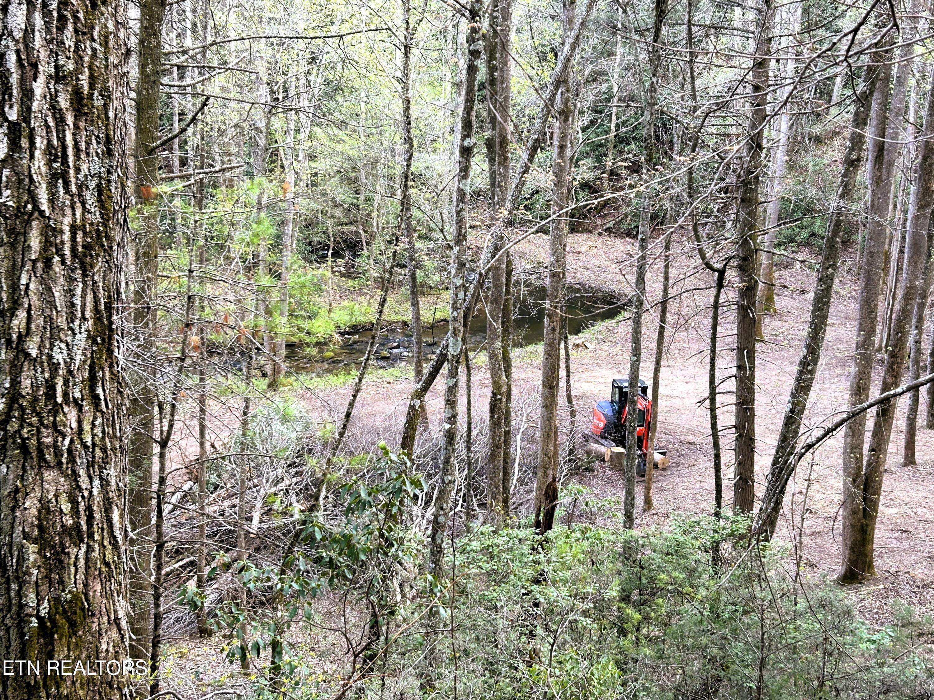 Tellico Plains, TN 37385,40 acres Ivy Trail