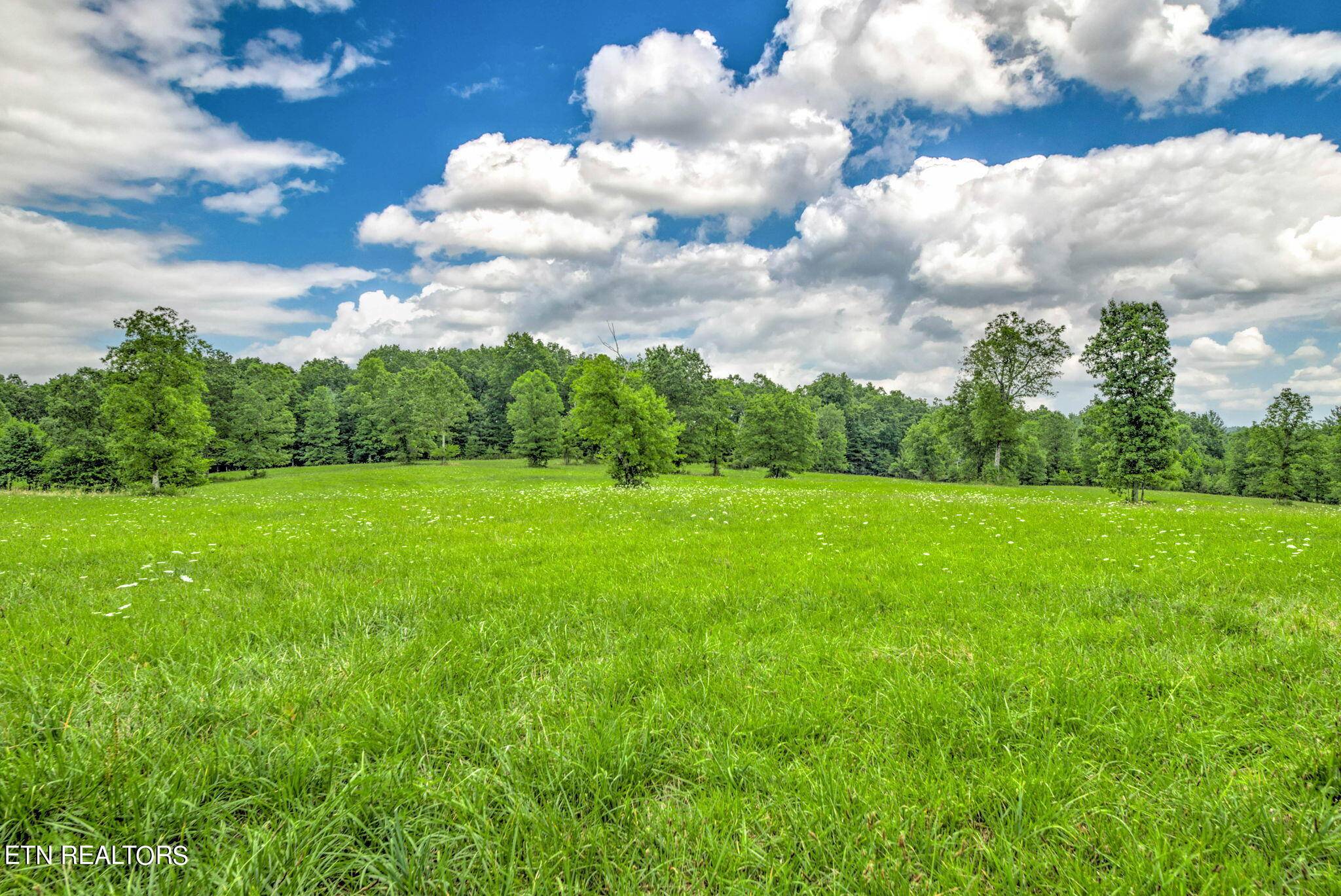 Deer Lodge, TN 37726,Meister Hills Rd