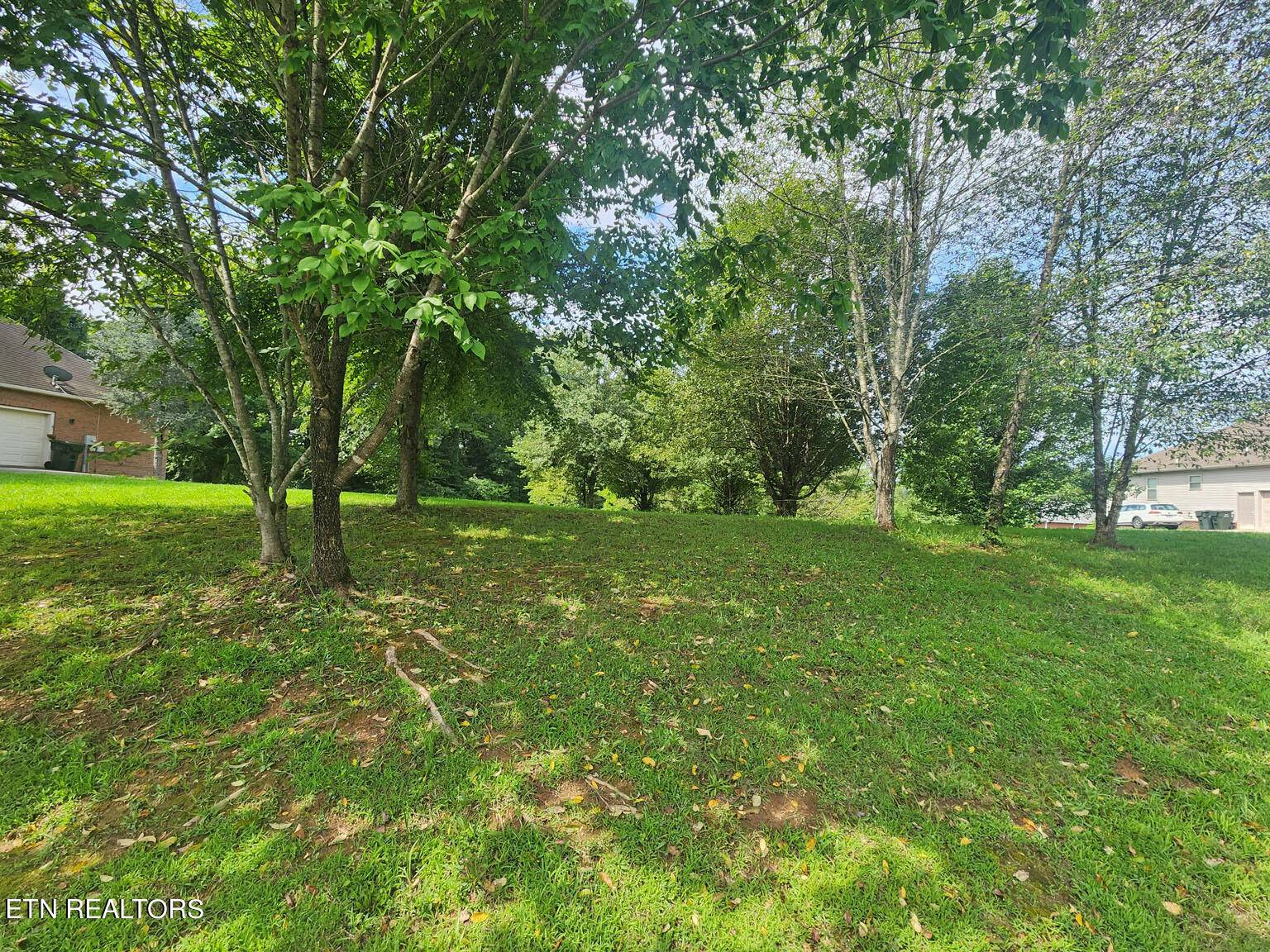 Sevierville, TN 37862,Lot 8 Riceland Dr