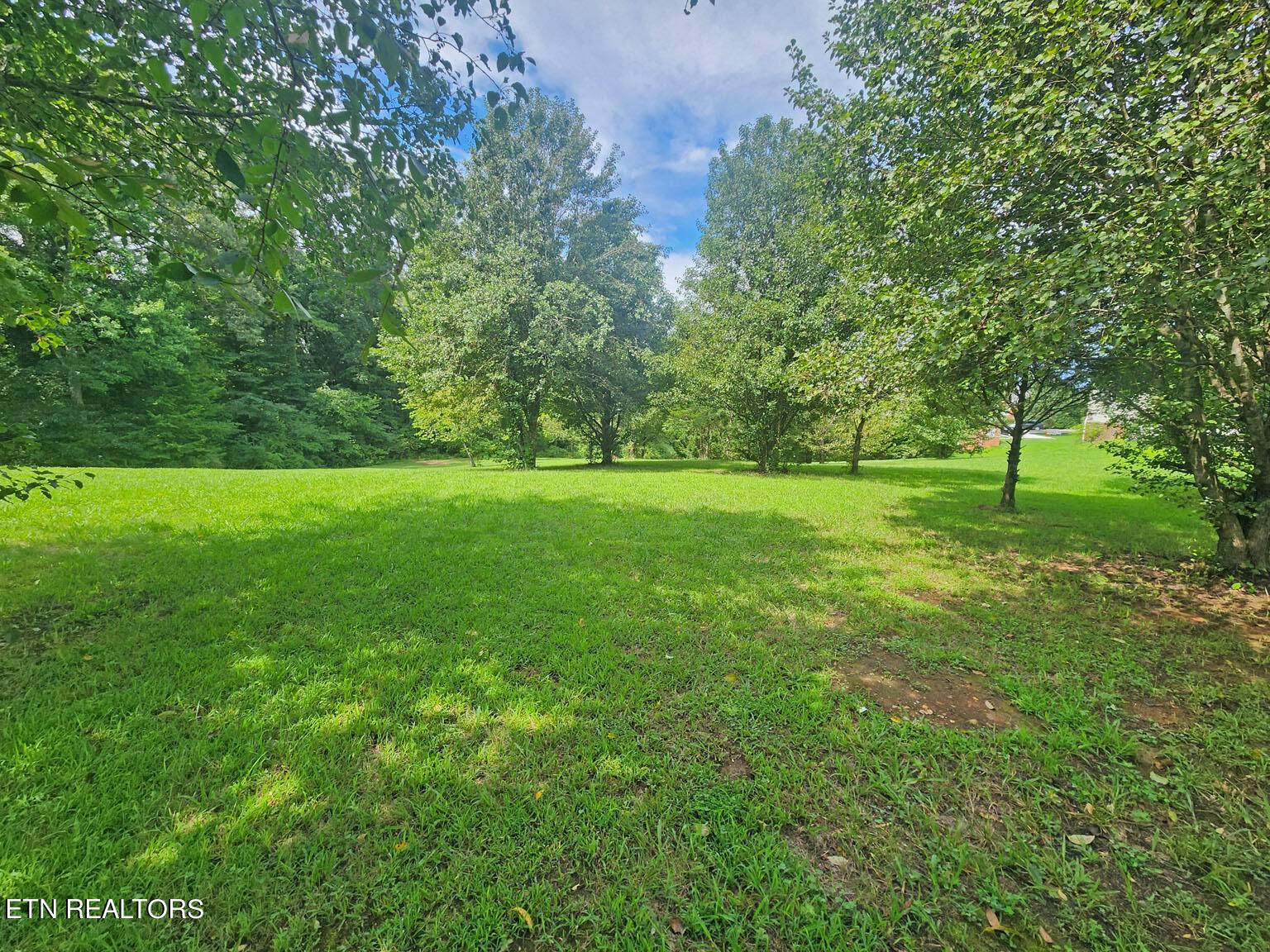 Sevierville, TN 37862,Lot 8 Riceland Dr