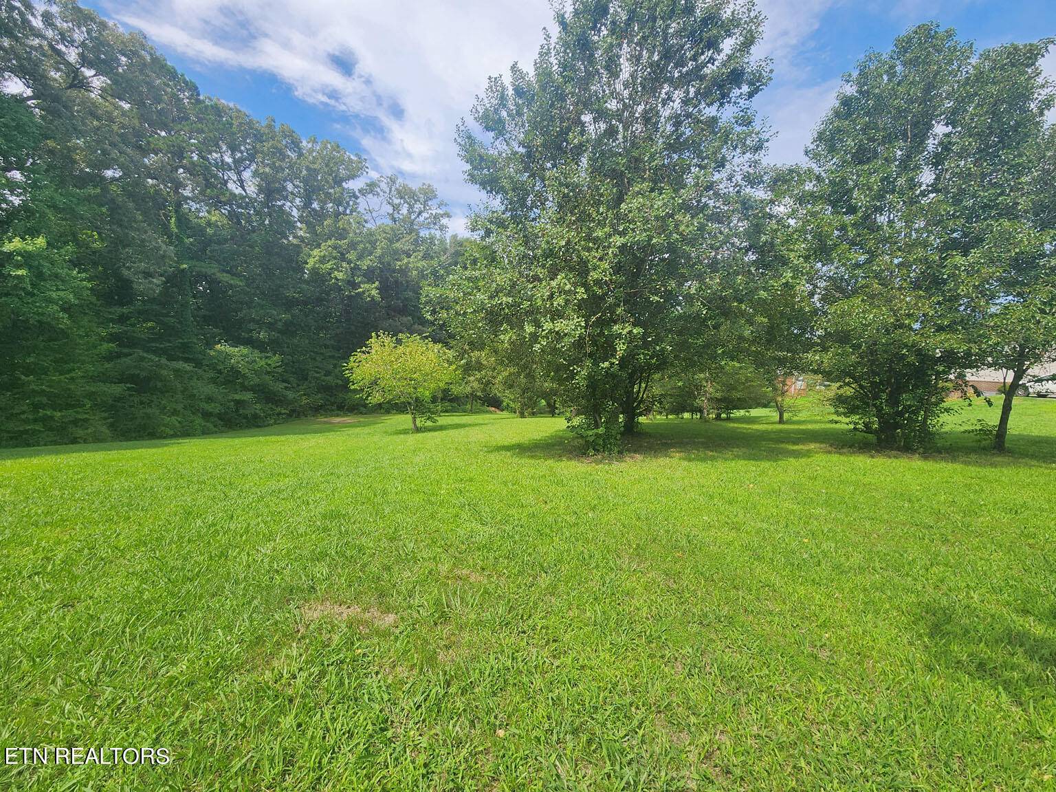 Sevierville, TN 37862,Lot 8 Riceland Dr