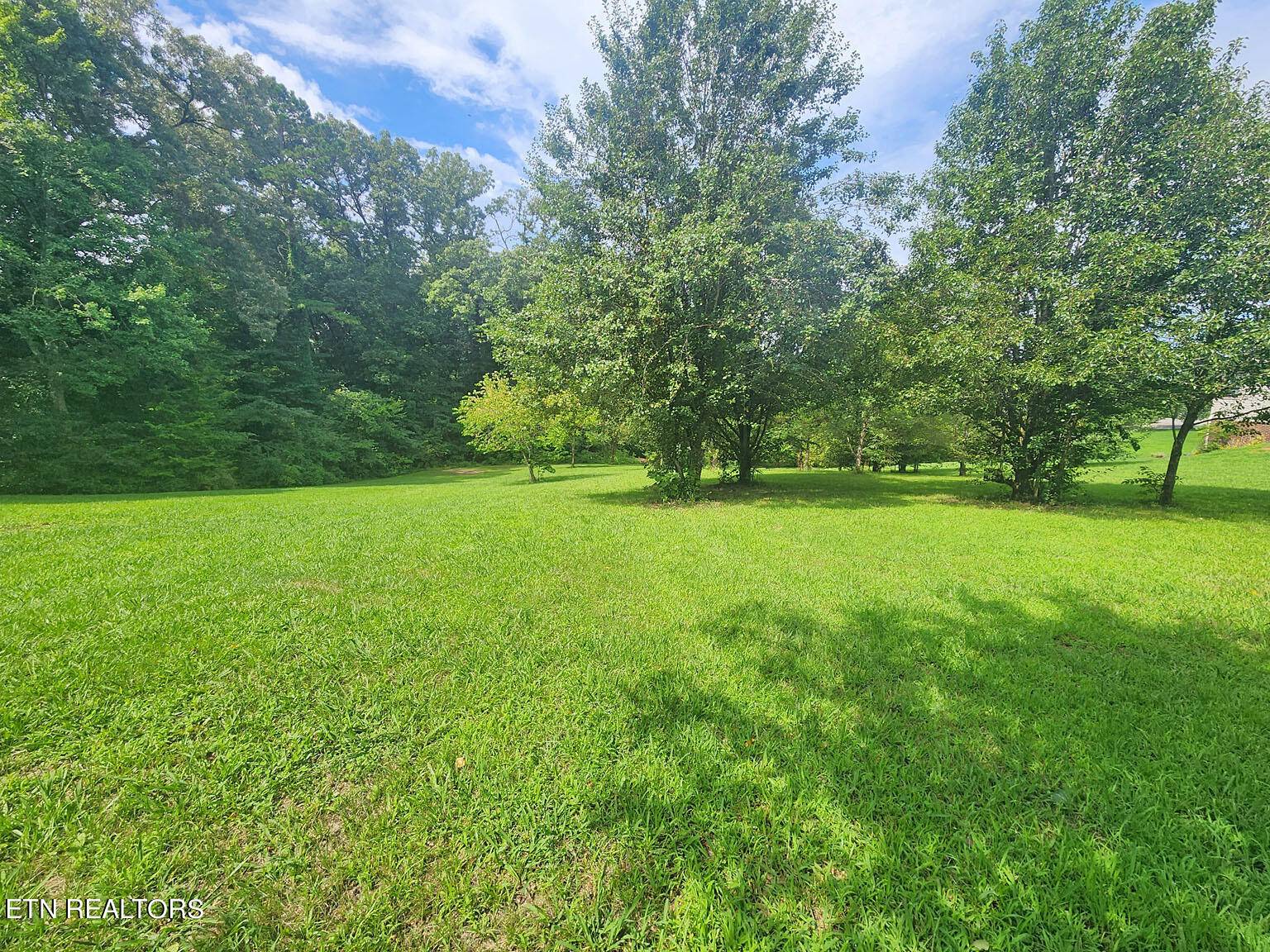 Sevierville, TN 37862,Lot 8 Riceland Dr