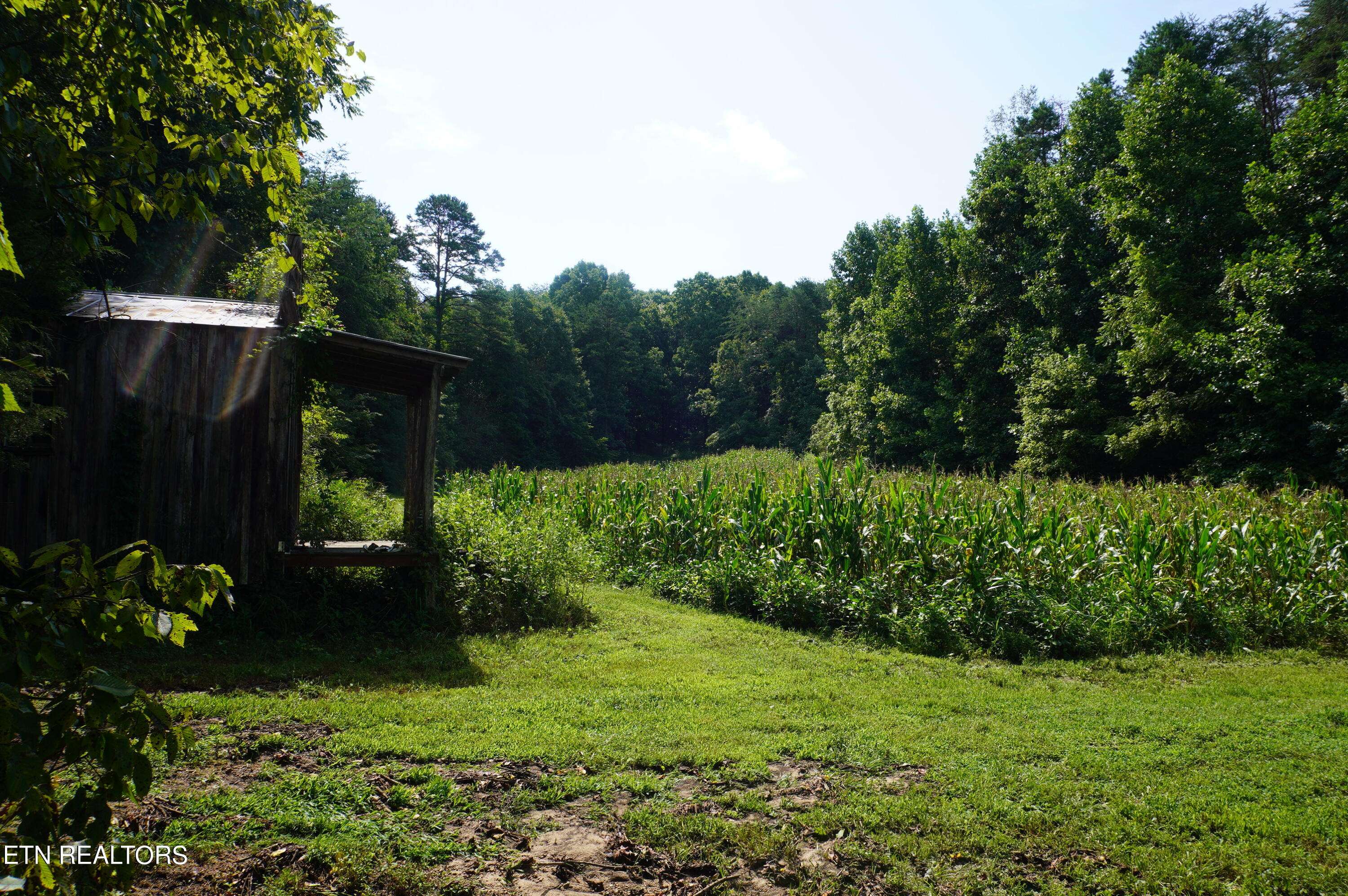 New Market, TN 37820,Lot 17 Pleasant View Cemetery Road