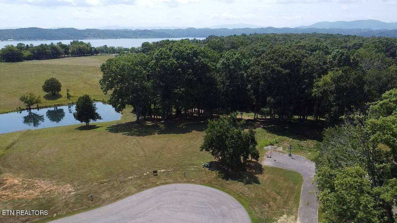 White Pine, TN 37890,lot 6&7 Ancient Oaks CT