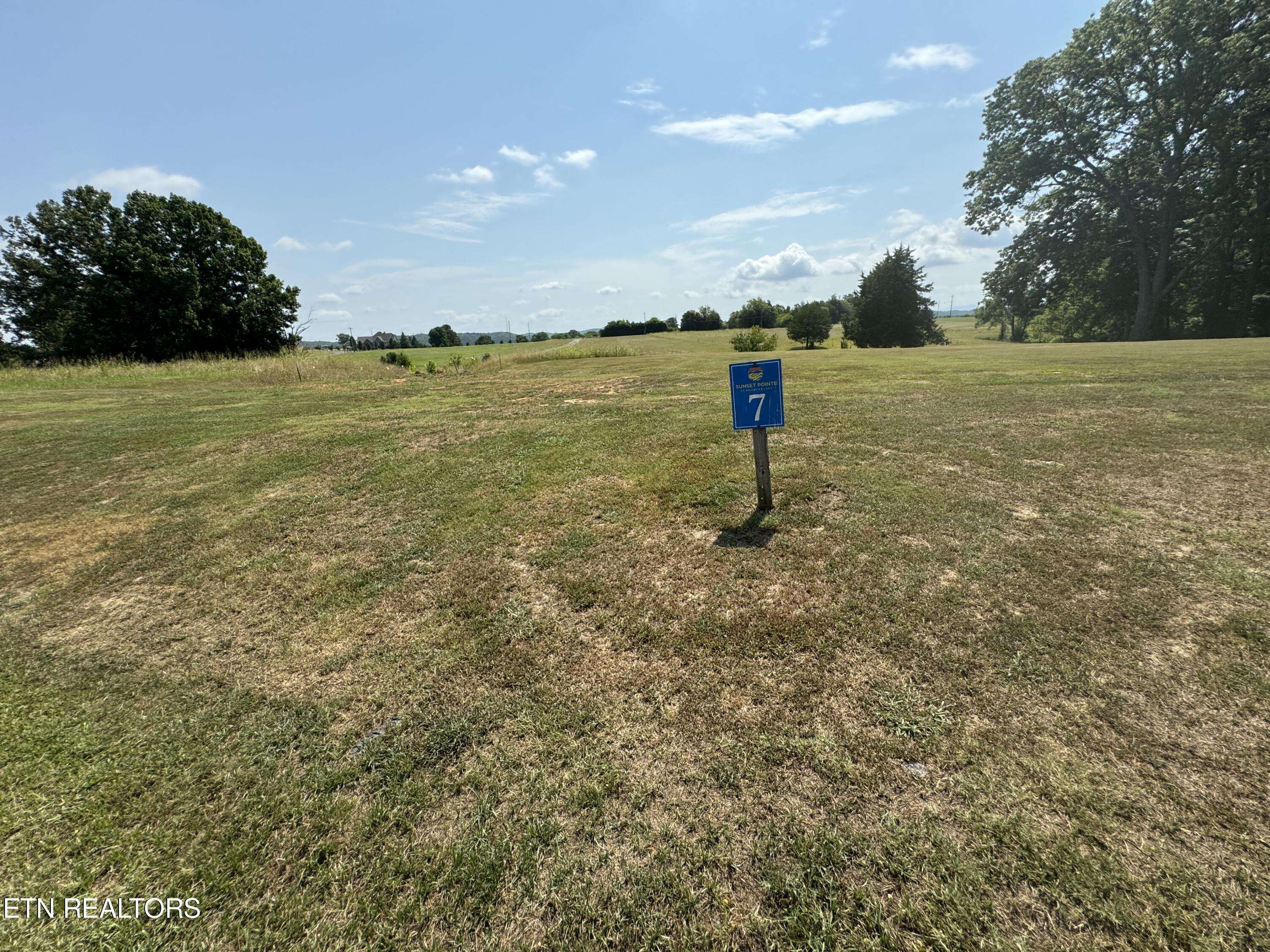 White Pine, TN 37890,lot 6&7 Ancient Oaks CT