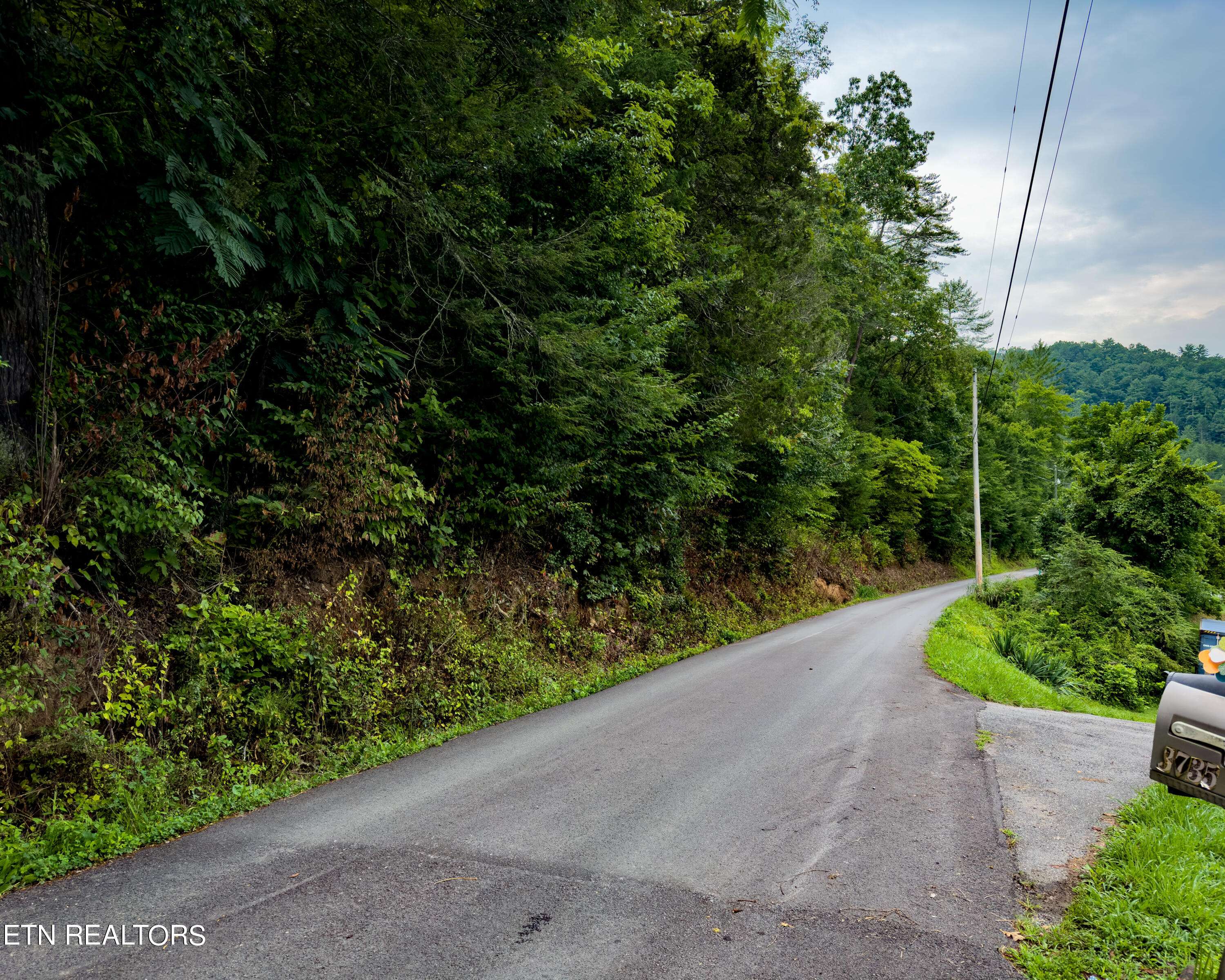 Sevierville, TN 37876,Lot 2A N Ball Hollow Rd