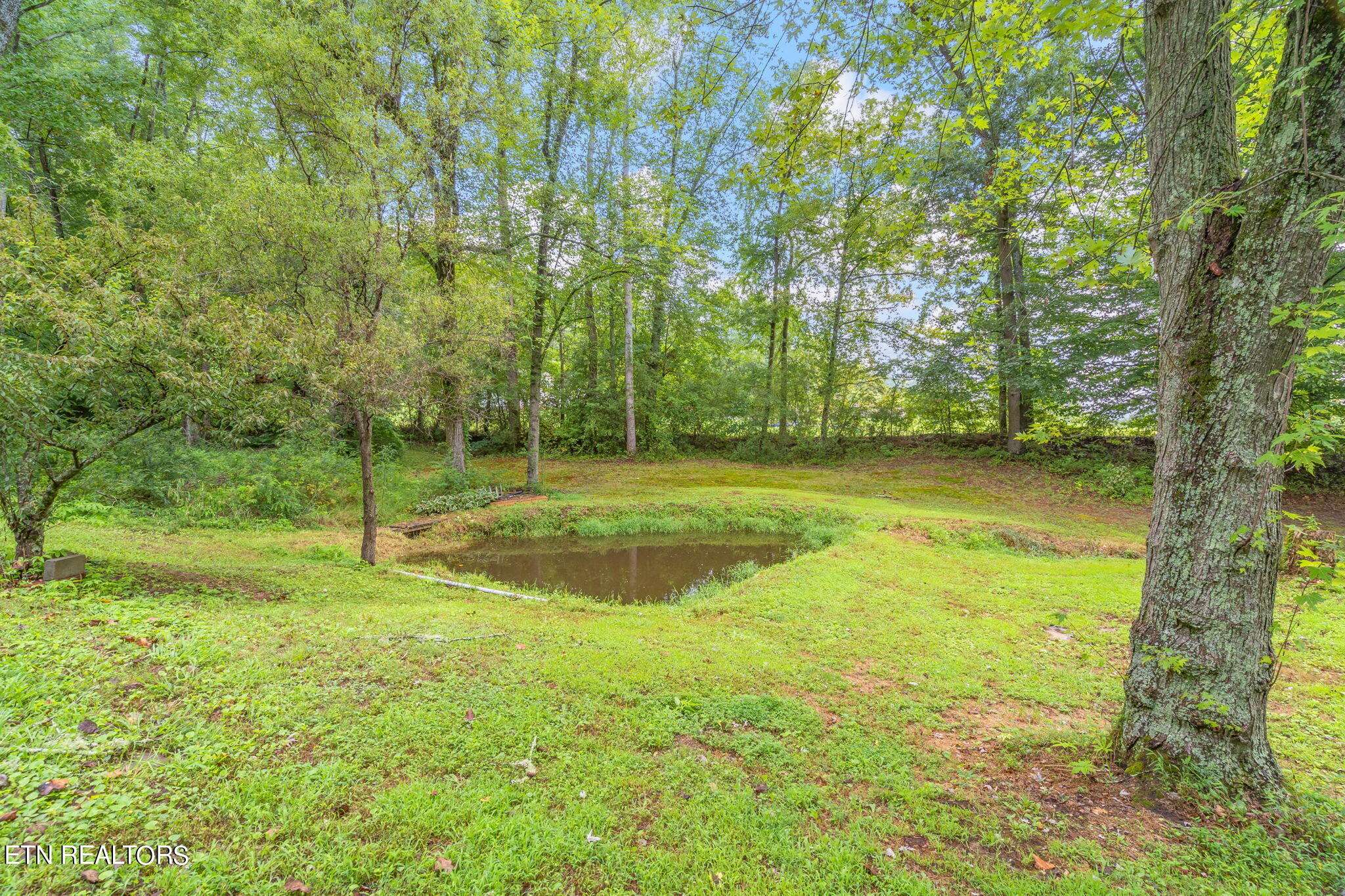 Powell, TN 37849,236 Bull Run Rd