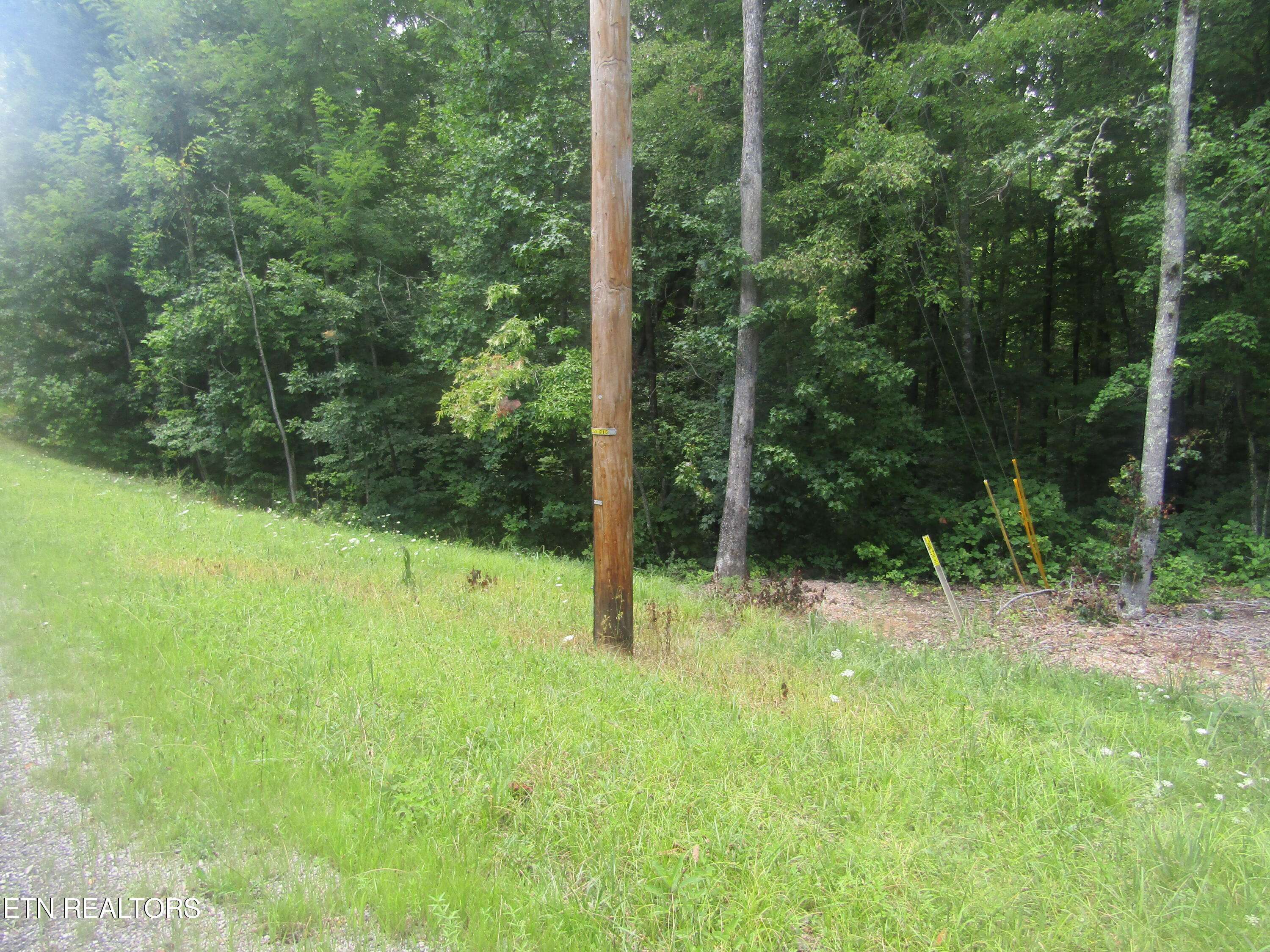 Monterey, TN 38574,Lot 29 Davidson Drive