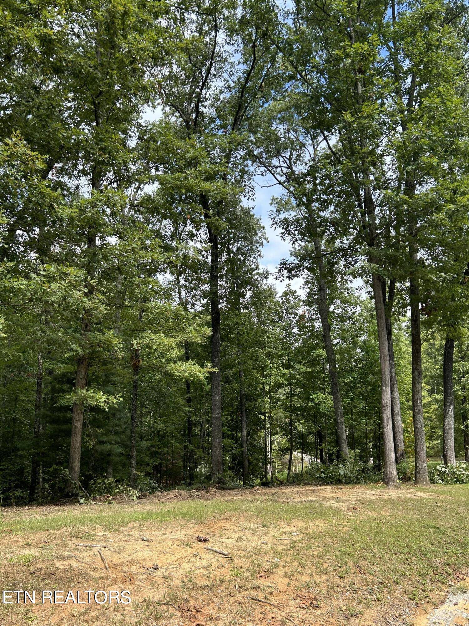 Oneida, TN 37841,Hardwood CT