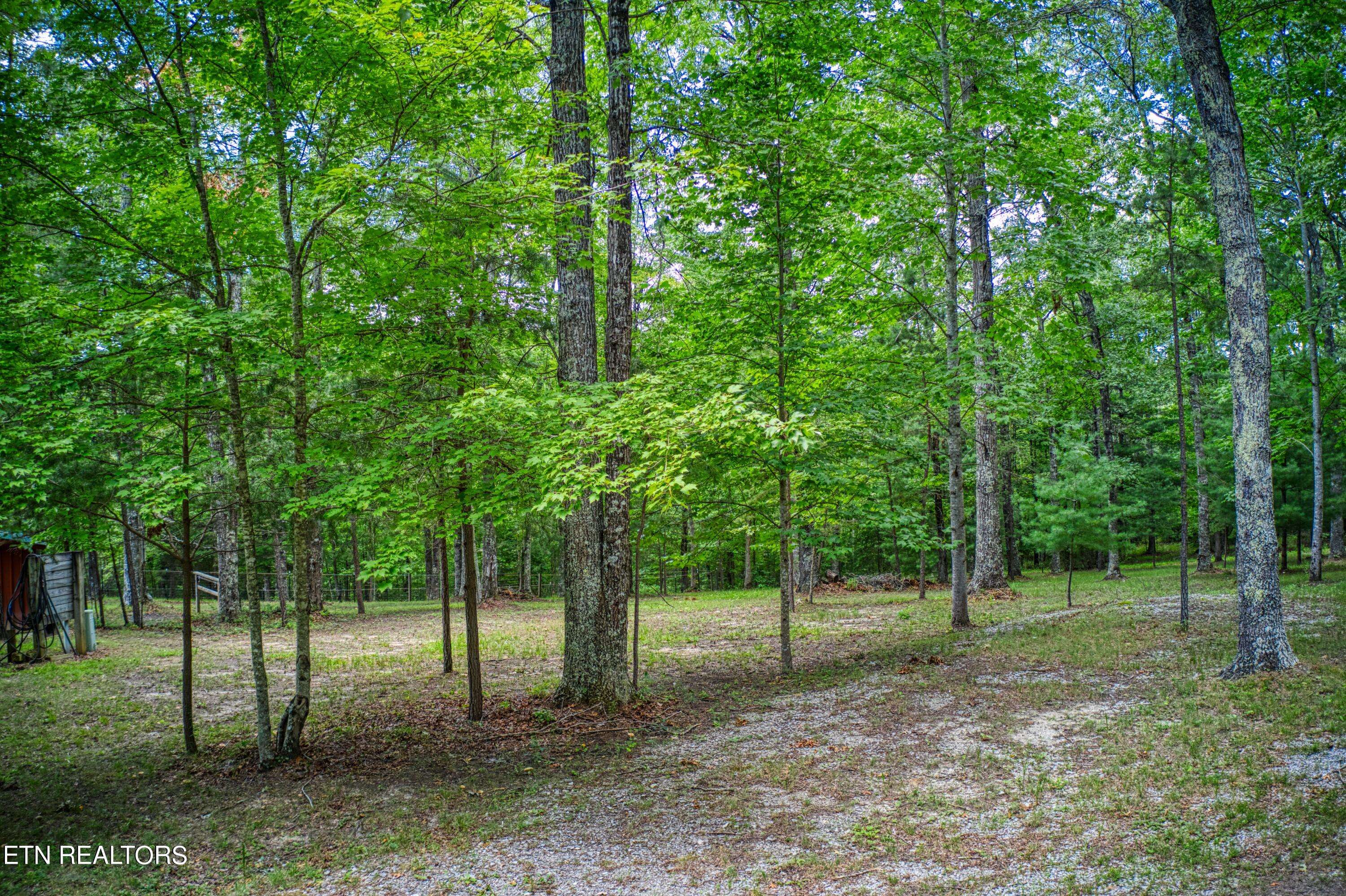 Jamestown, TN 38556,265 Johnson PL