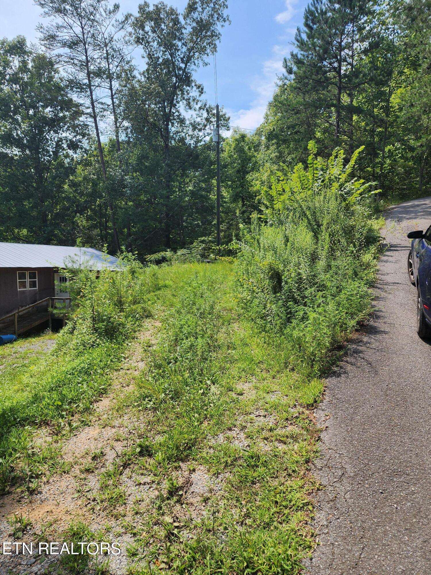 Sevierville, TN 37876,Lot 30 Birch Dr