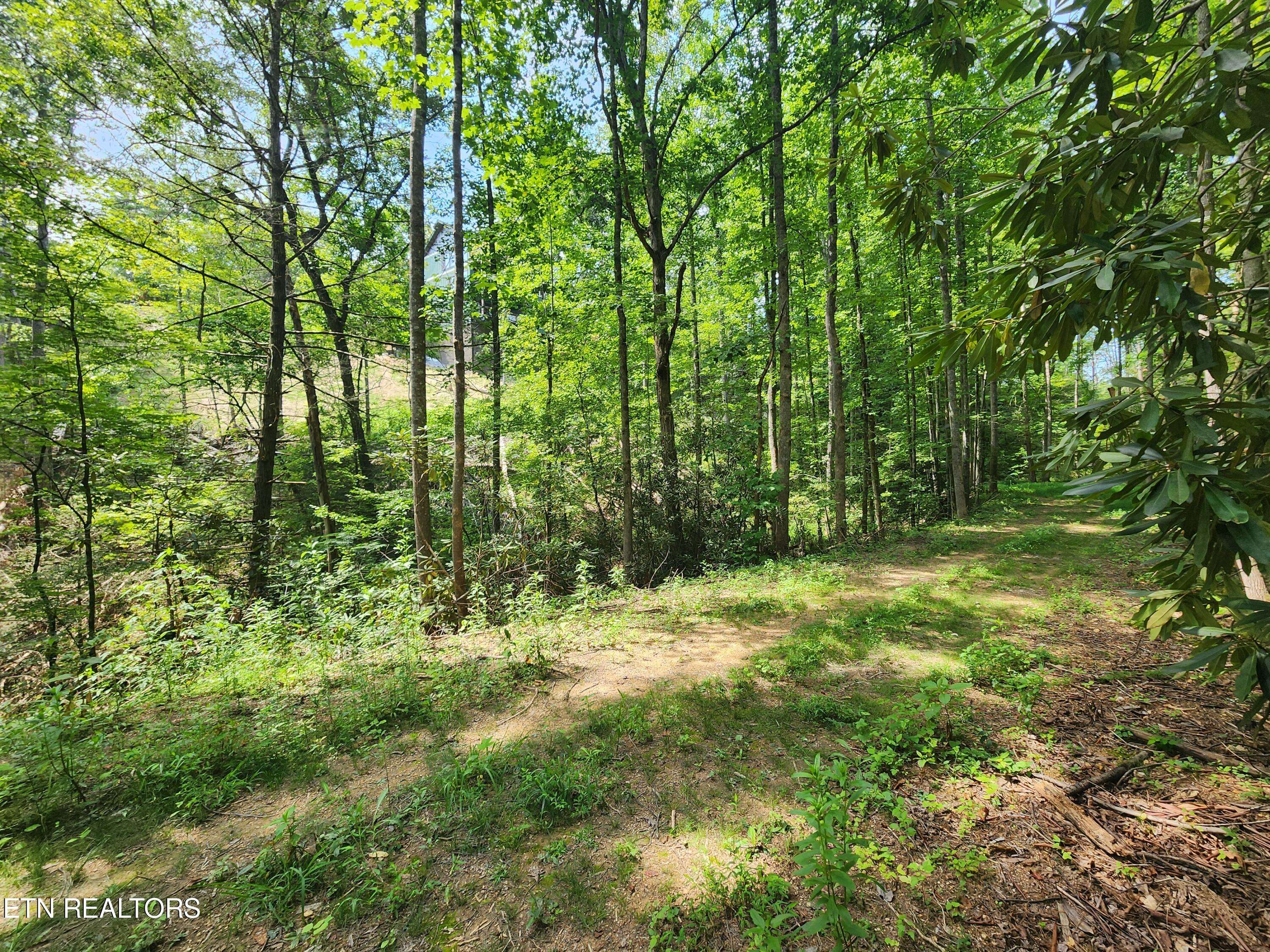 Sevierville, TN 37876,Lot 31 Birch Dr