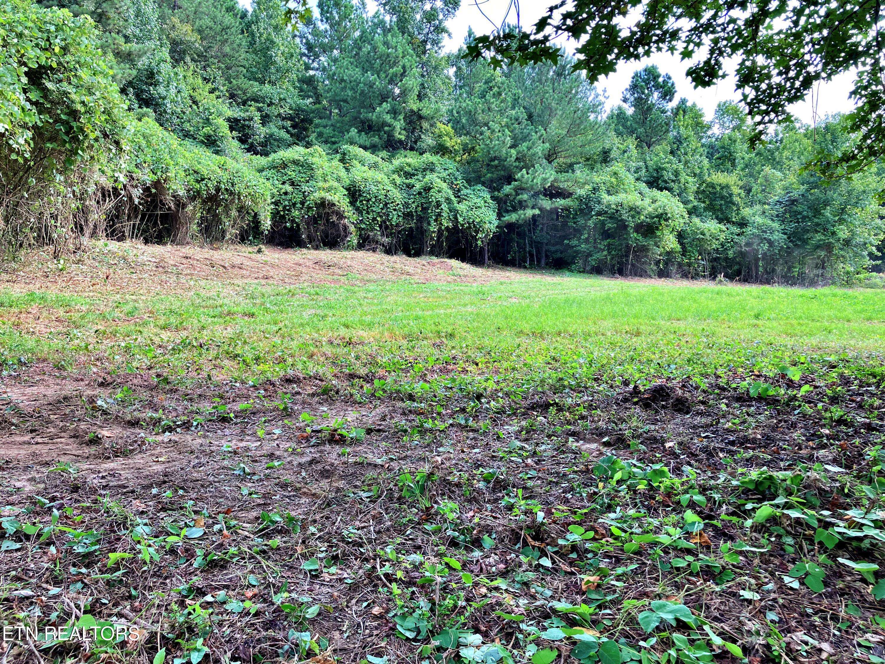 Decatur, TN 37322,Lot 3 Oak Grove Road