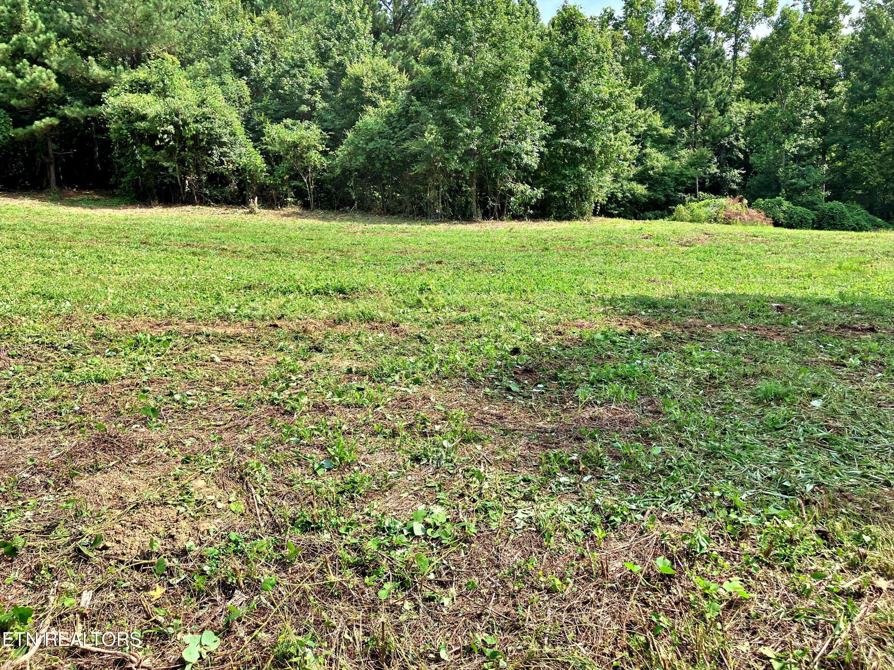 Decatur, TN 37322,Lot 4 Oak Grove Road