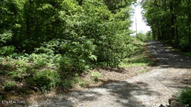 Sparta, TN 38583,20.76ac Walker Cove Rd