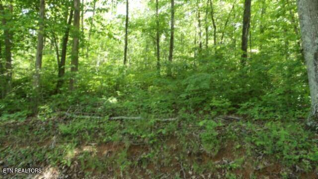 Sparta, TN 38583,20.76ac Walker Cove Rd