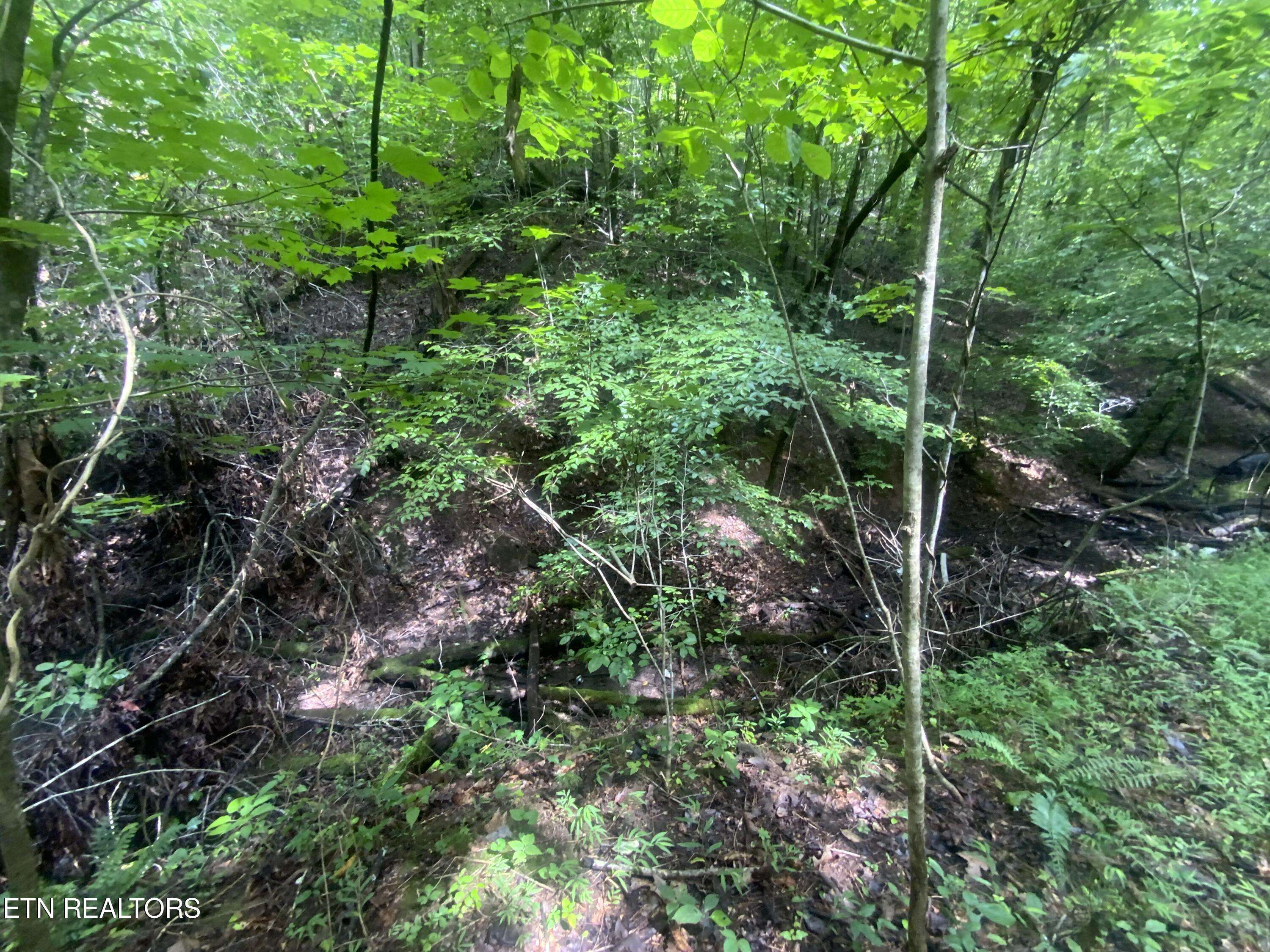 Jacksboro, TN 37757,Lot 63 Hiwassee View DR