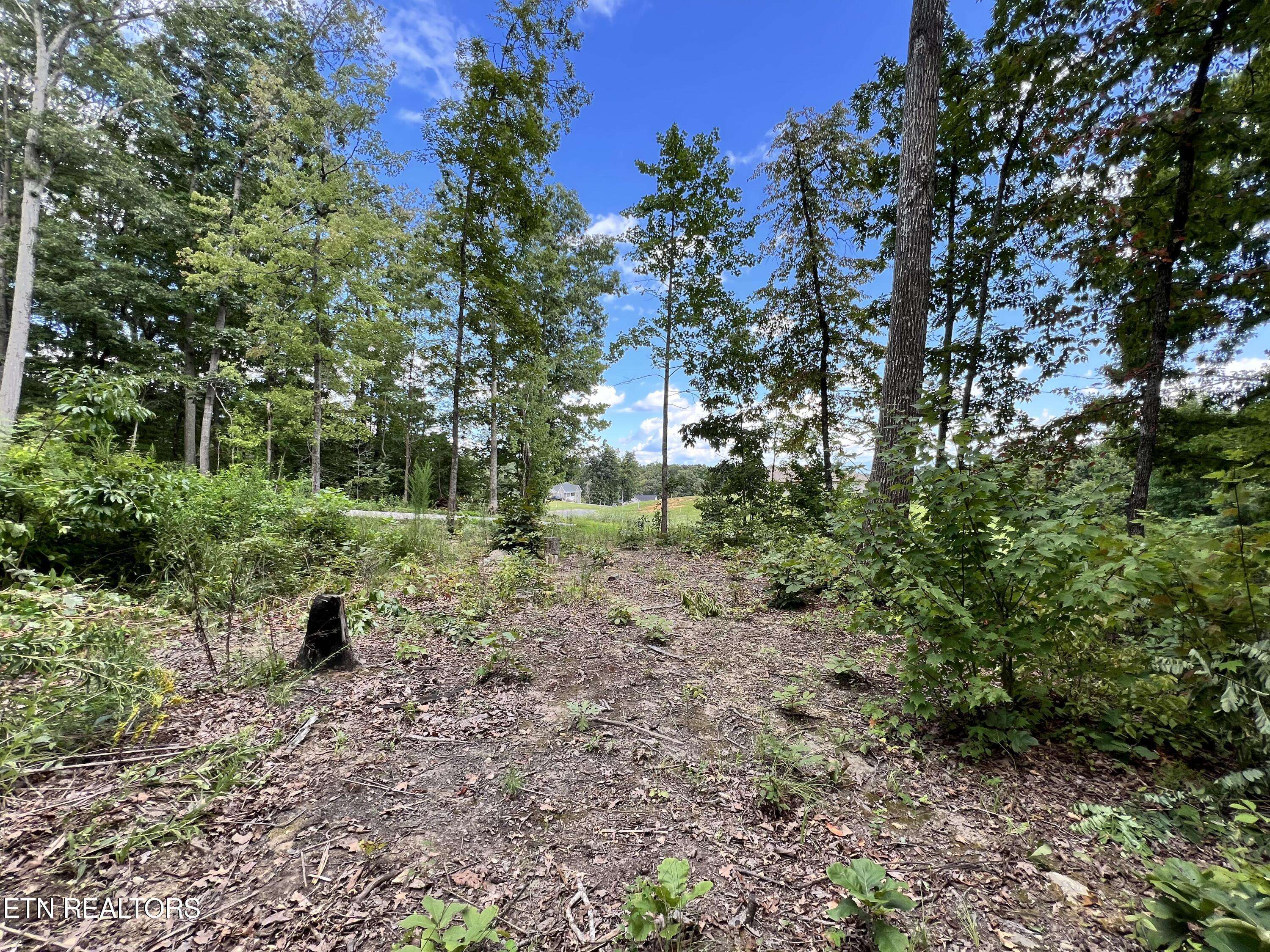 Strawberry Plains, TN 37871,Lot 28 Dogwood Meadows DR