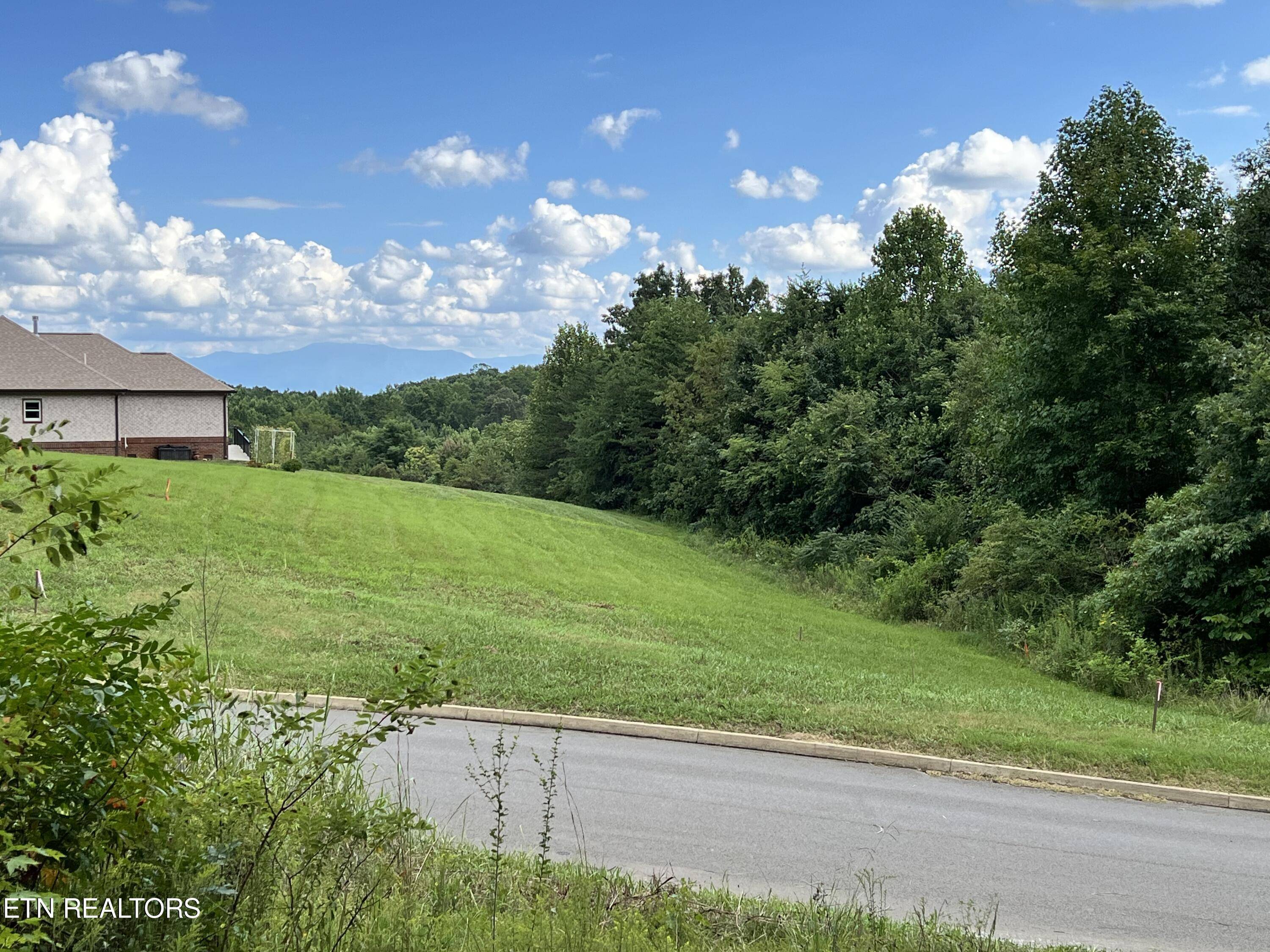 Strawberry Plains, TN 37871,Lot 28 Dogwood Meadows DR