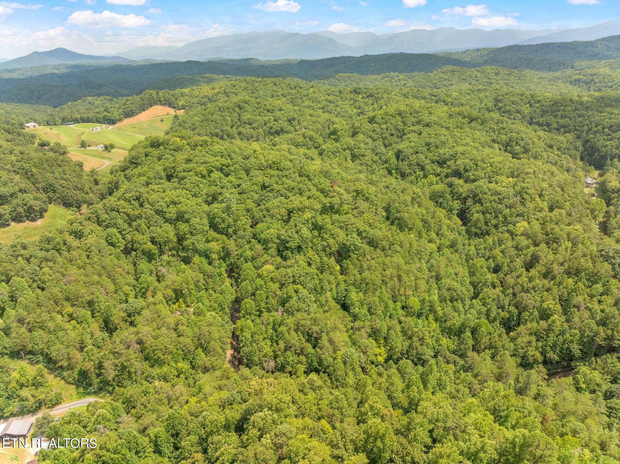 Sevierville, TN 37876,Lot 1 Gnatty Branch Road