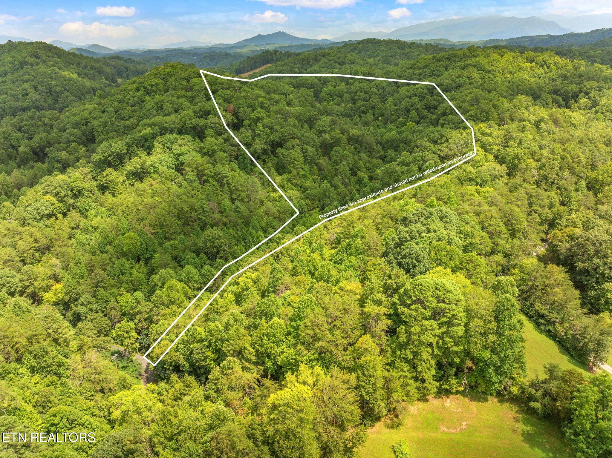 Sevierville, TN 37876,Lot 2 Gnatty Branch Rd