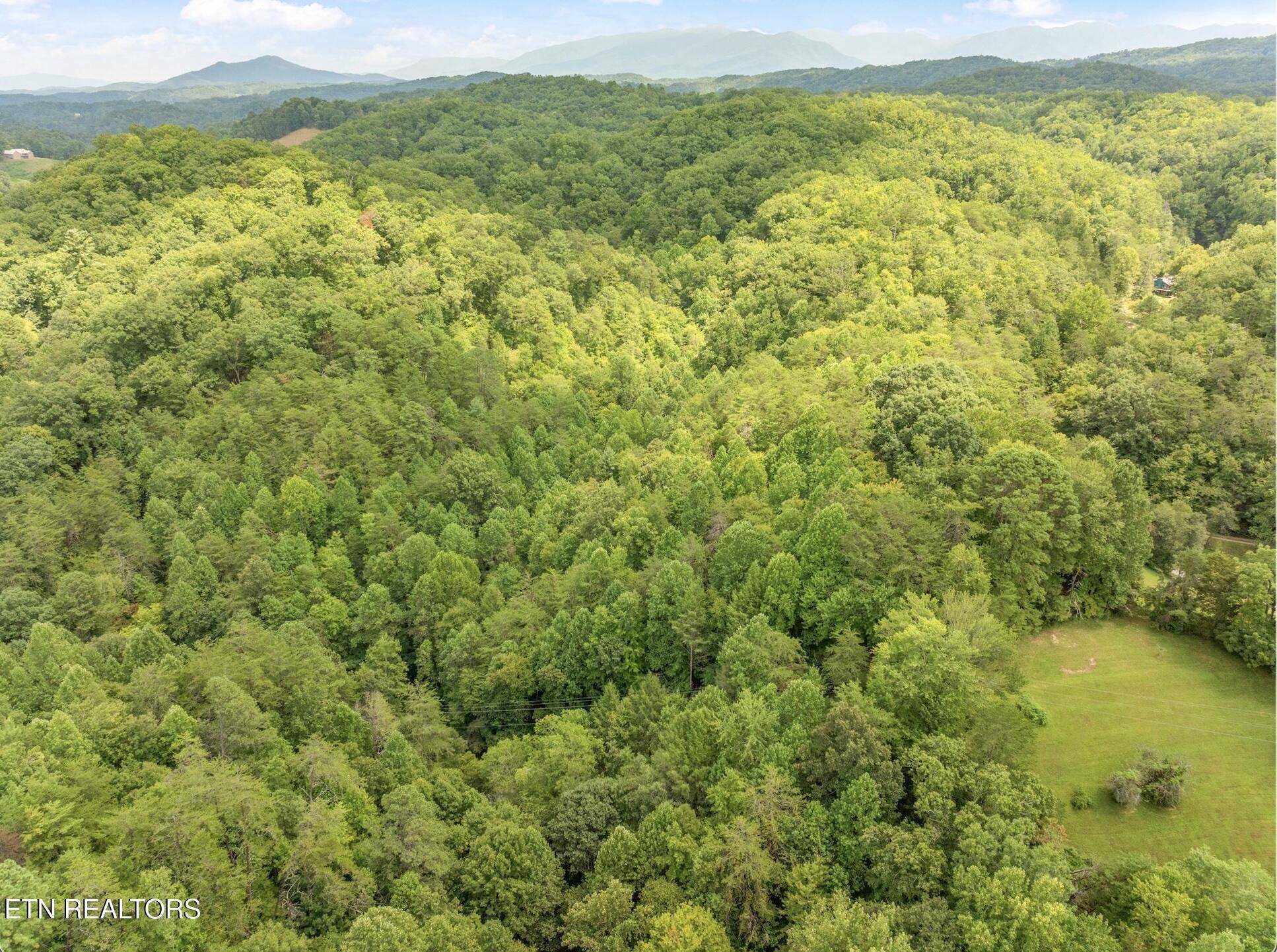 Sevierville, TN 37876,Lot 2 Gnatty Branch Rd