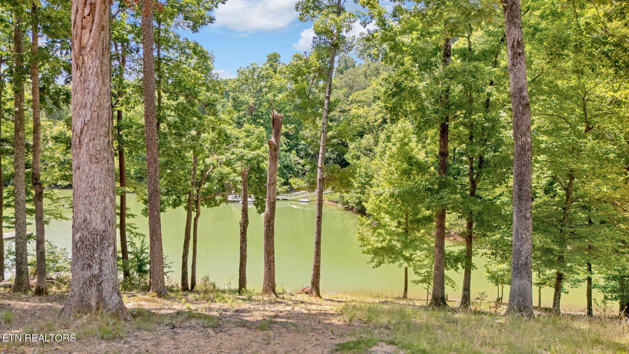 Dandridge, TN 37725,2115 Riverview DR