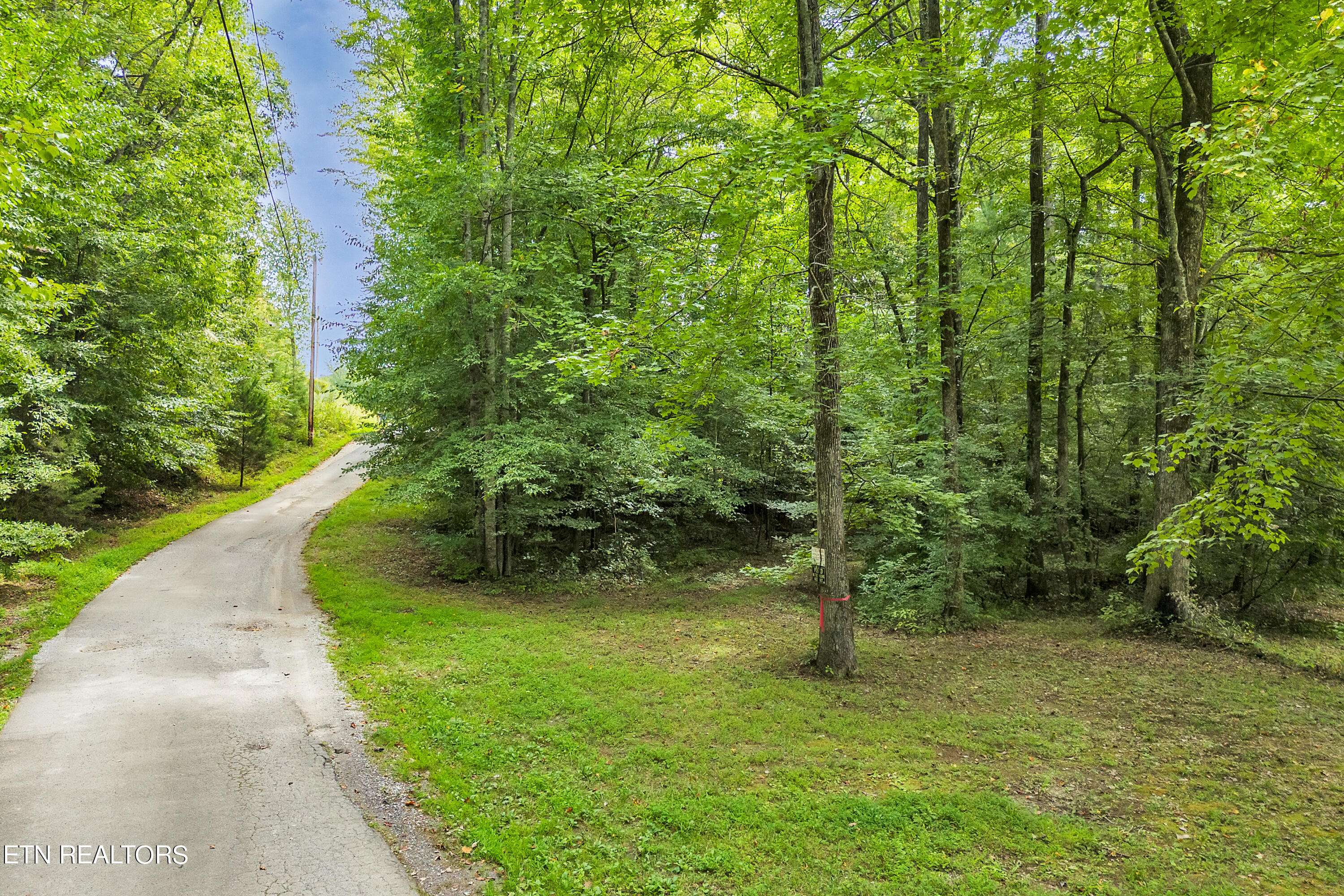 Oliver Springs, TN 37840,Lot 3R-2 Cove LN