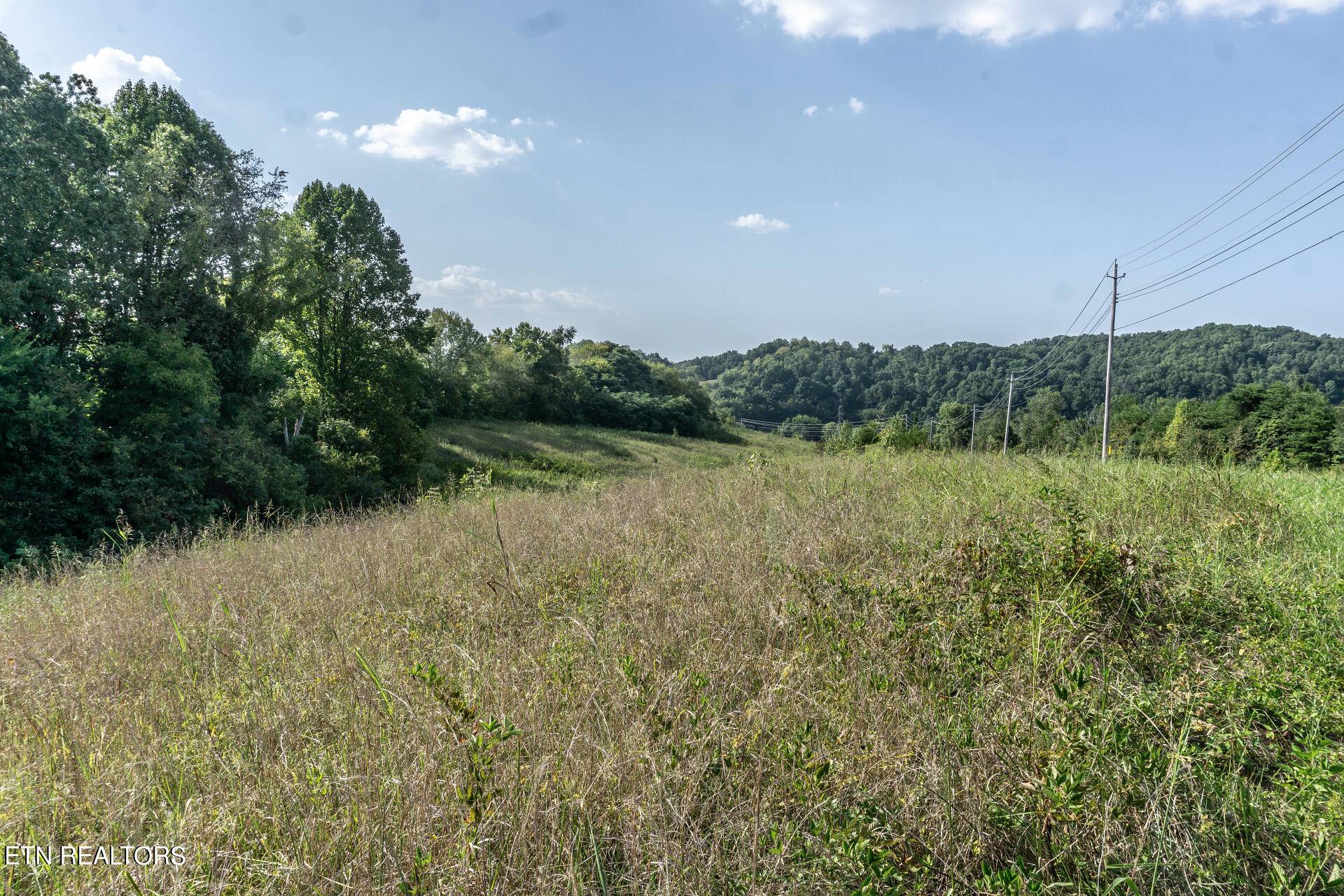 Parrottsville, TN 37843,8.73 AC Highway 321