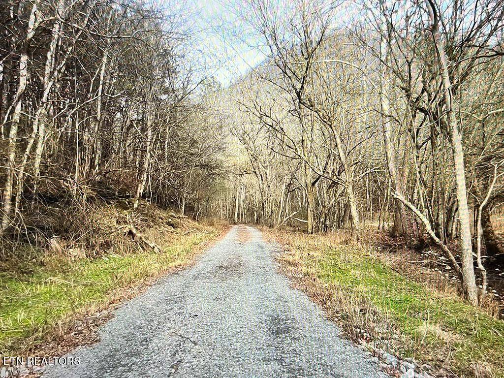 Bloomington Springs, TN 38545,9865 Marrtin Creek Rd