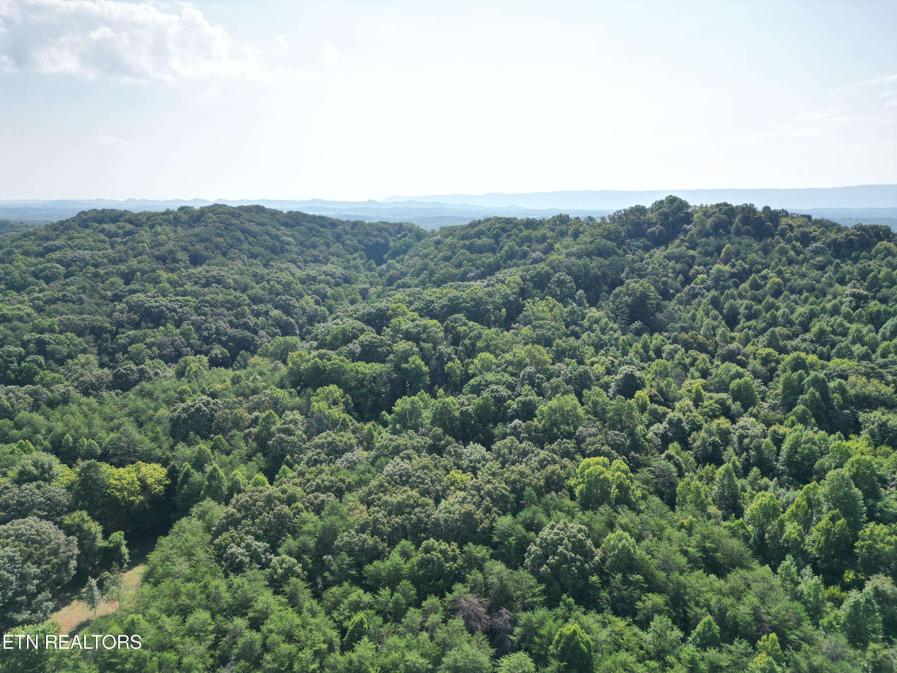 Athens, TN 37303,19 Acres County Rd 655 Rd