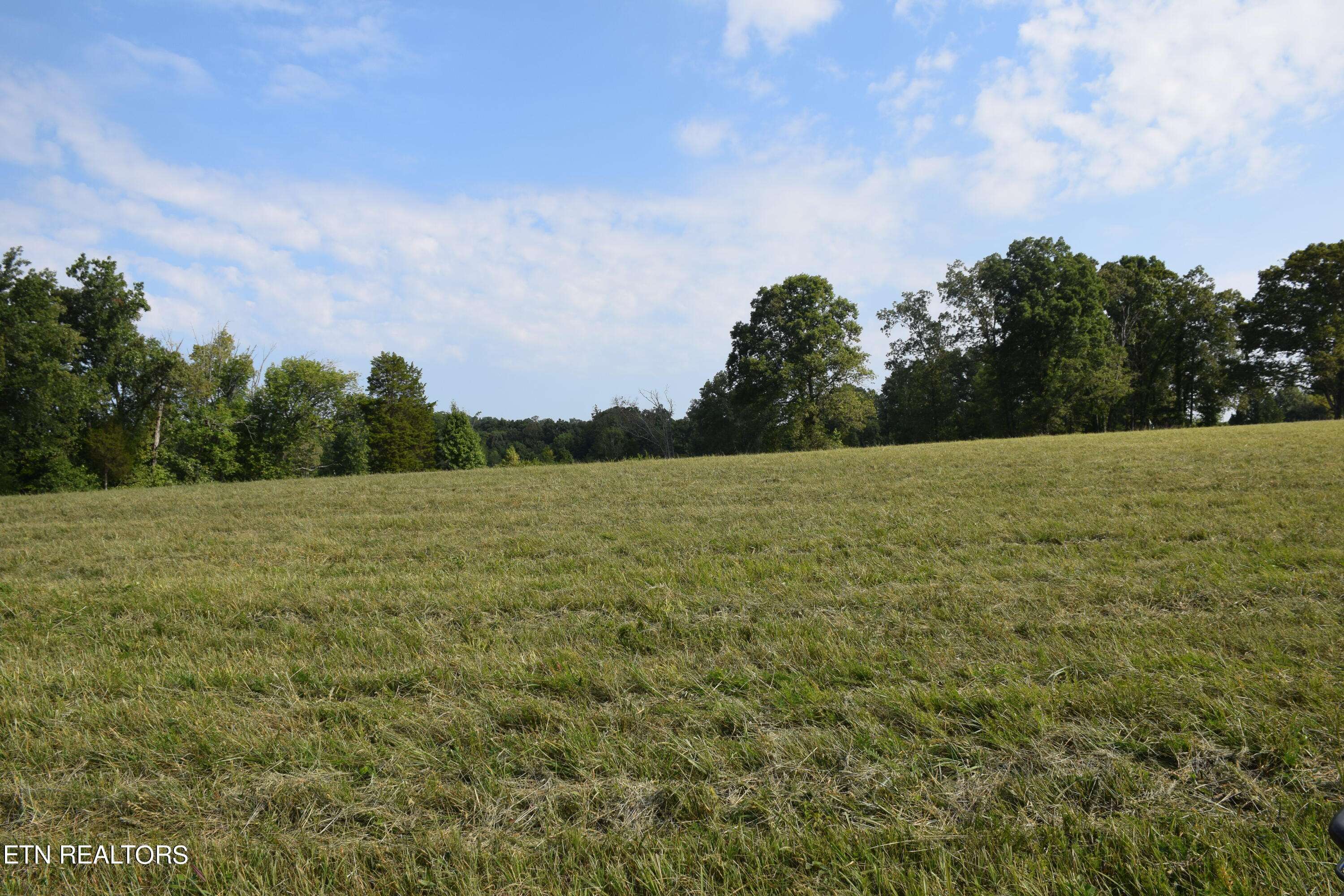 Lenoir City, TN 37772,Lot 4 Northshore DR